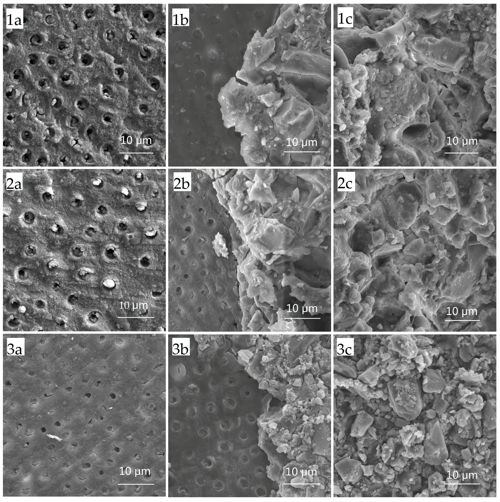 Ijms 18 01723 g001 Ijms 18 01723 g001