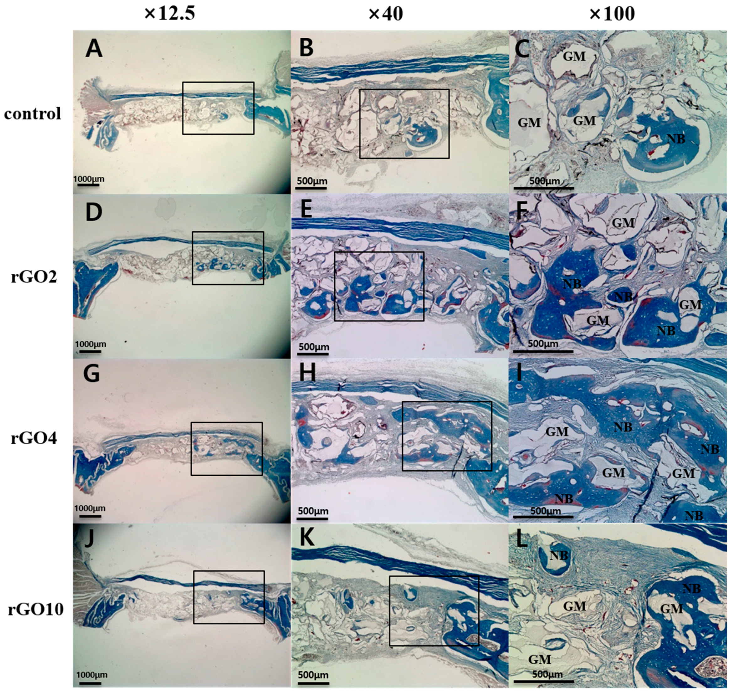 Ijms 18 01725 g008 550