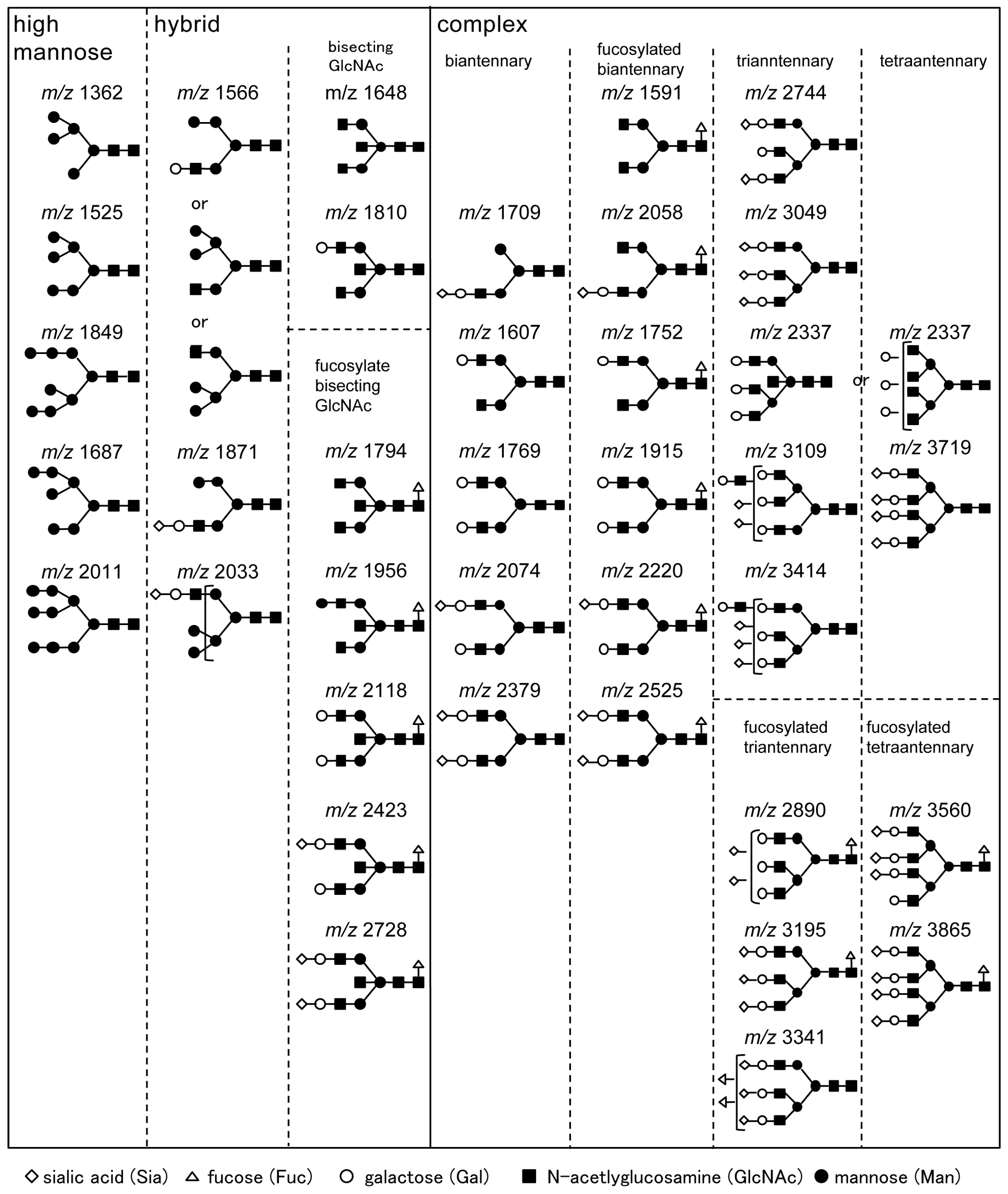 Ijms 18 01731 g001 550