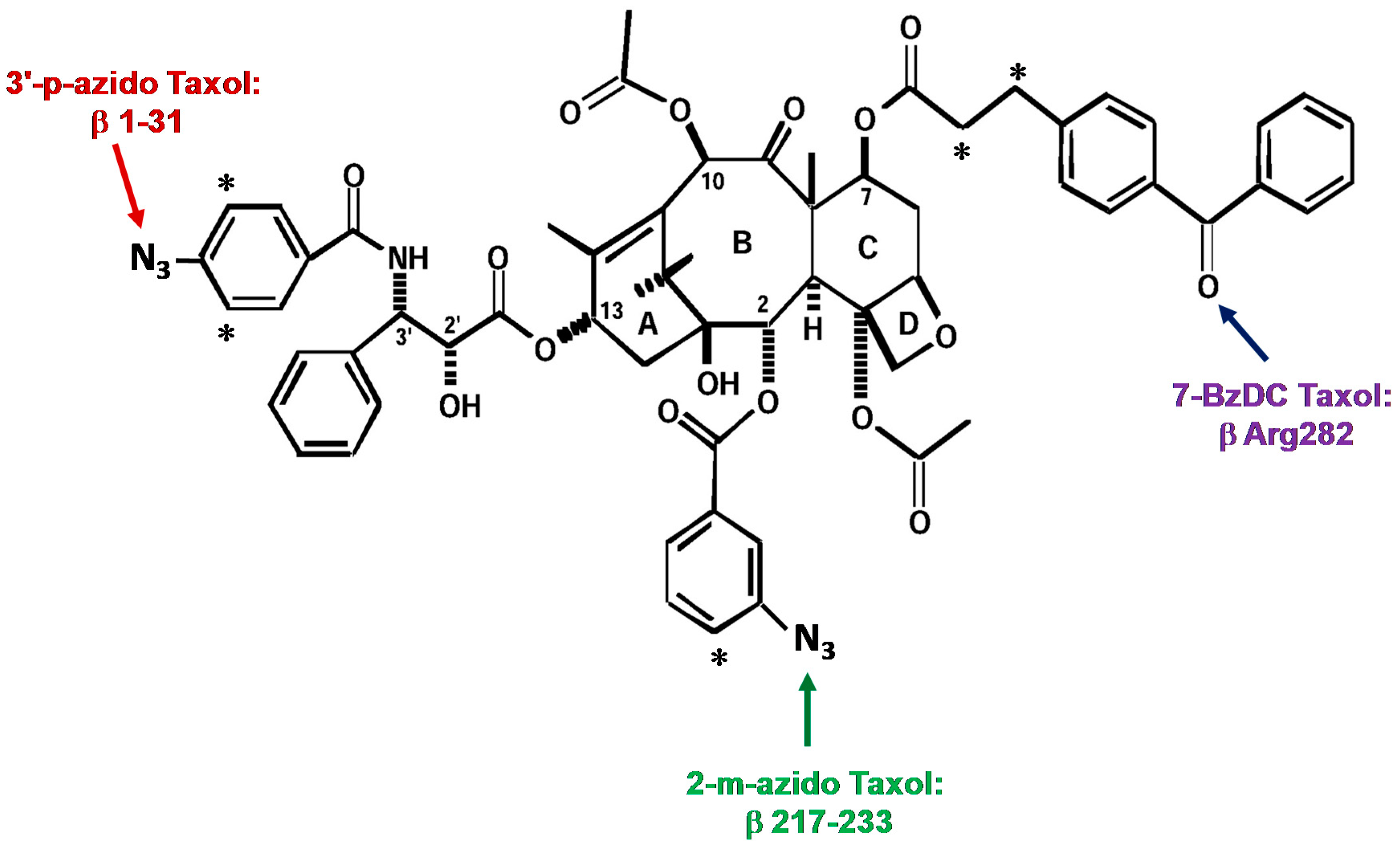Ijms 18 01733 g002 Ijms 18 01733 g002