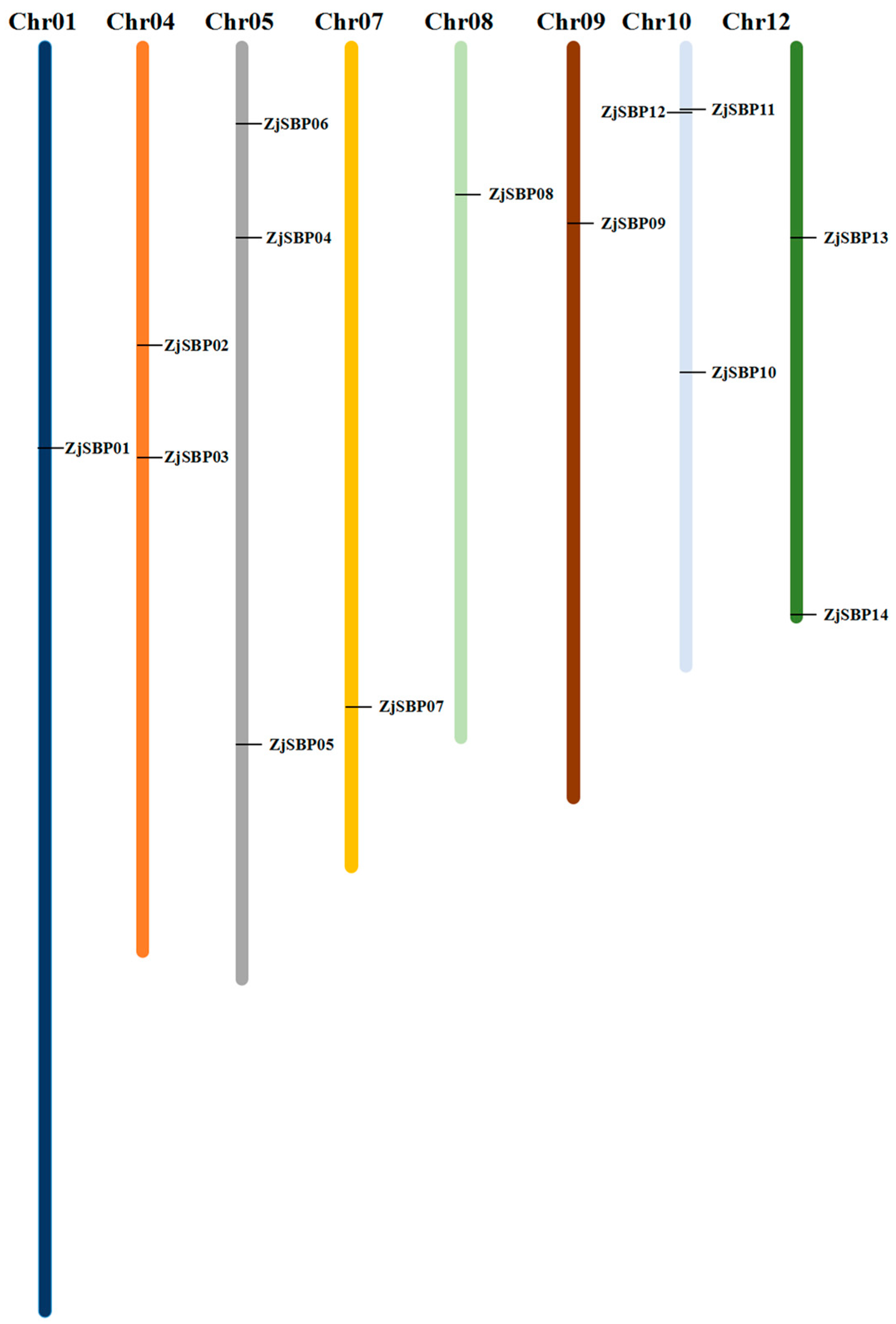 Ijms 18 01734 g001 550