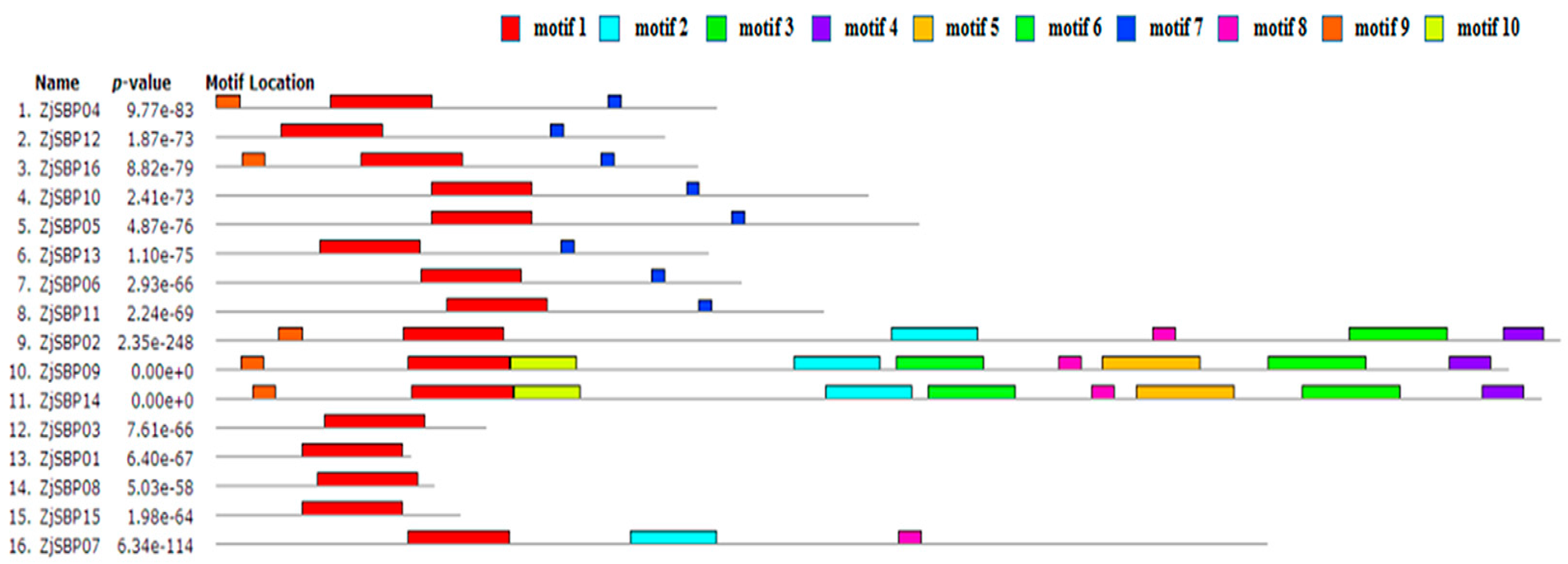 Ijms 18 01734 g005 550