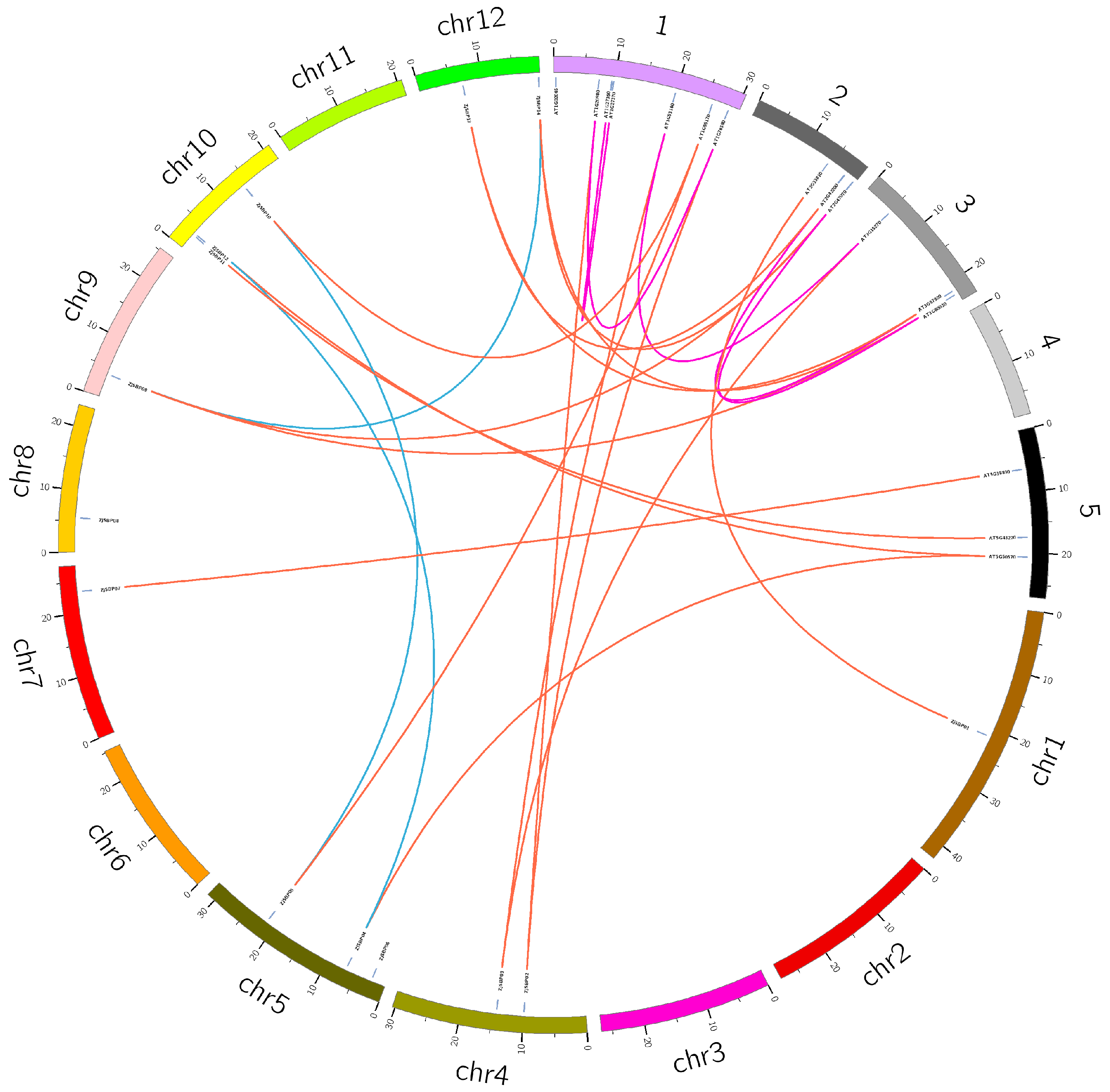 Ijms 18 01734 g006 550