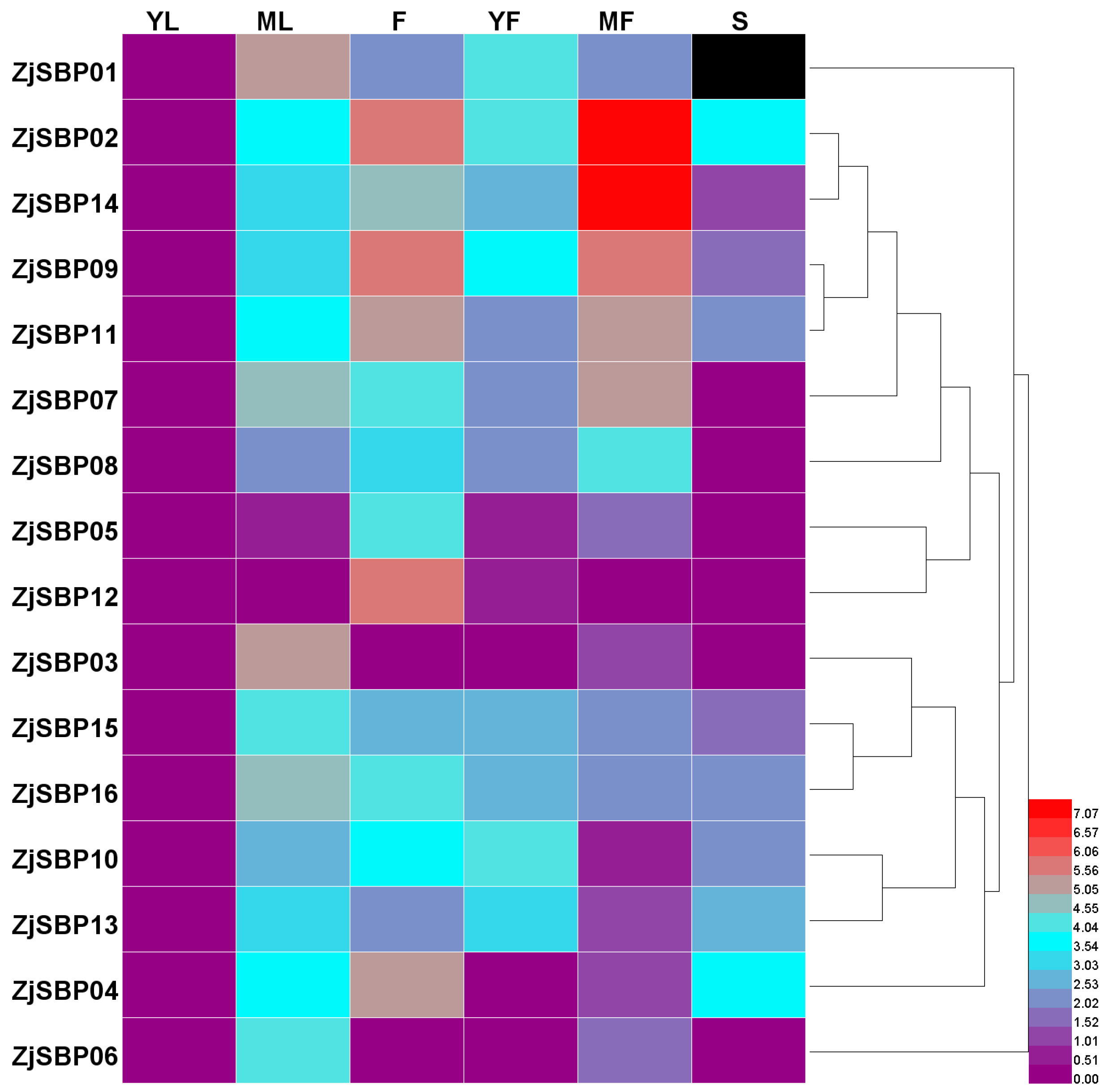 Ijms 18 01734 g007 550