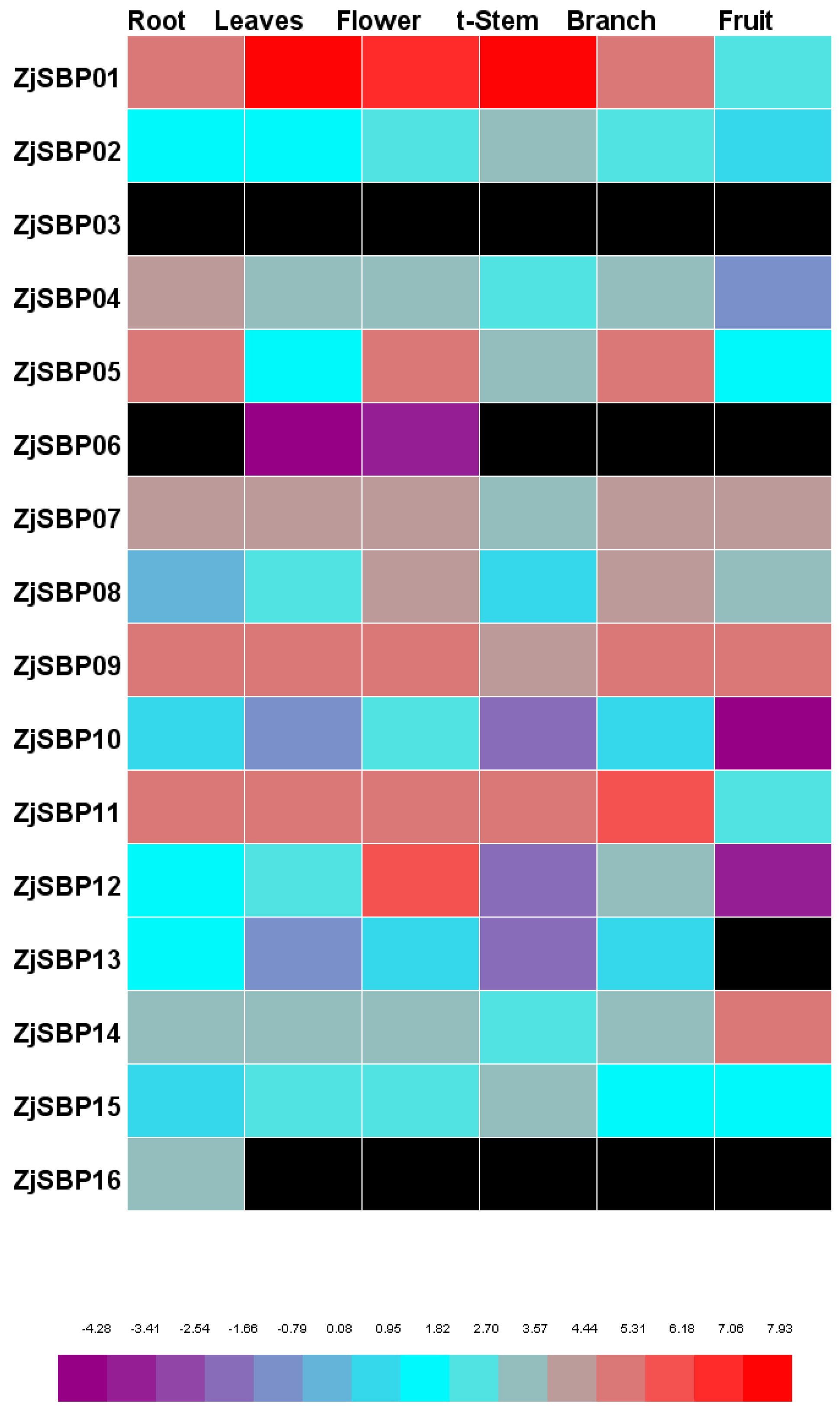 Ijms 18 01734 g008 550