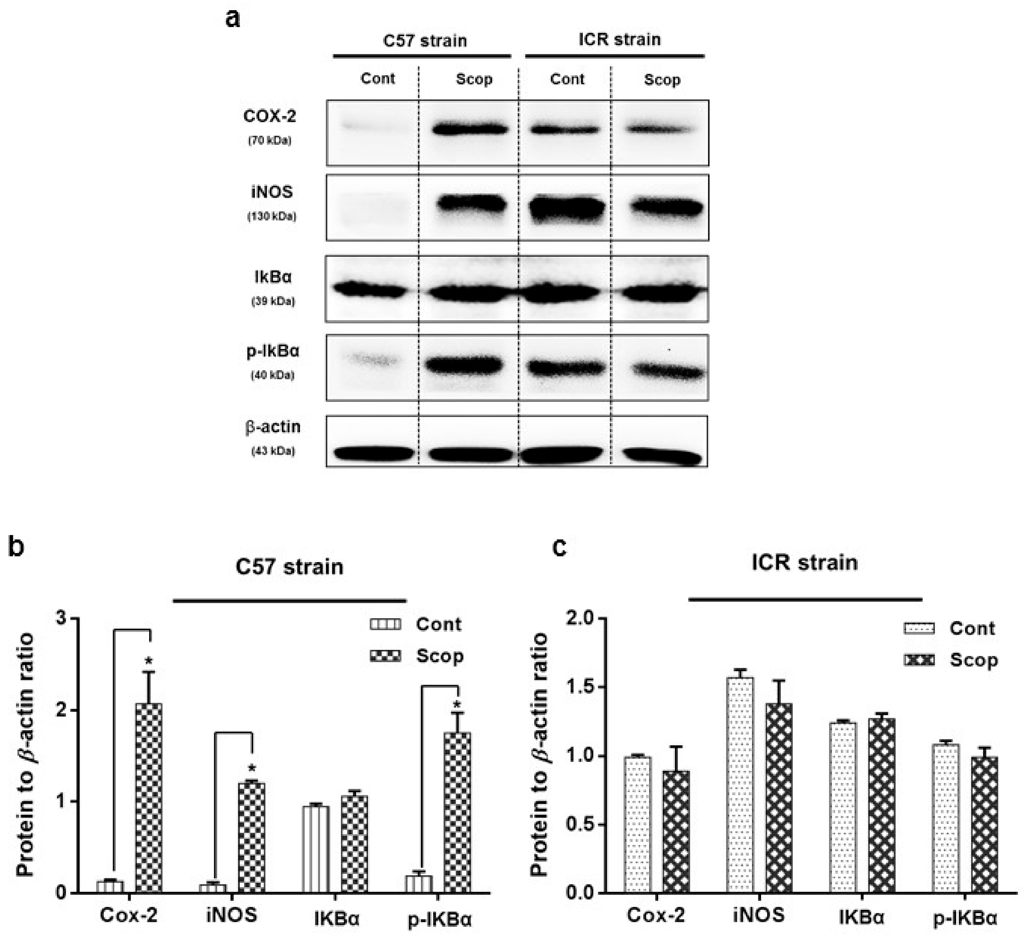 Ijms 18 01735 g005 550