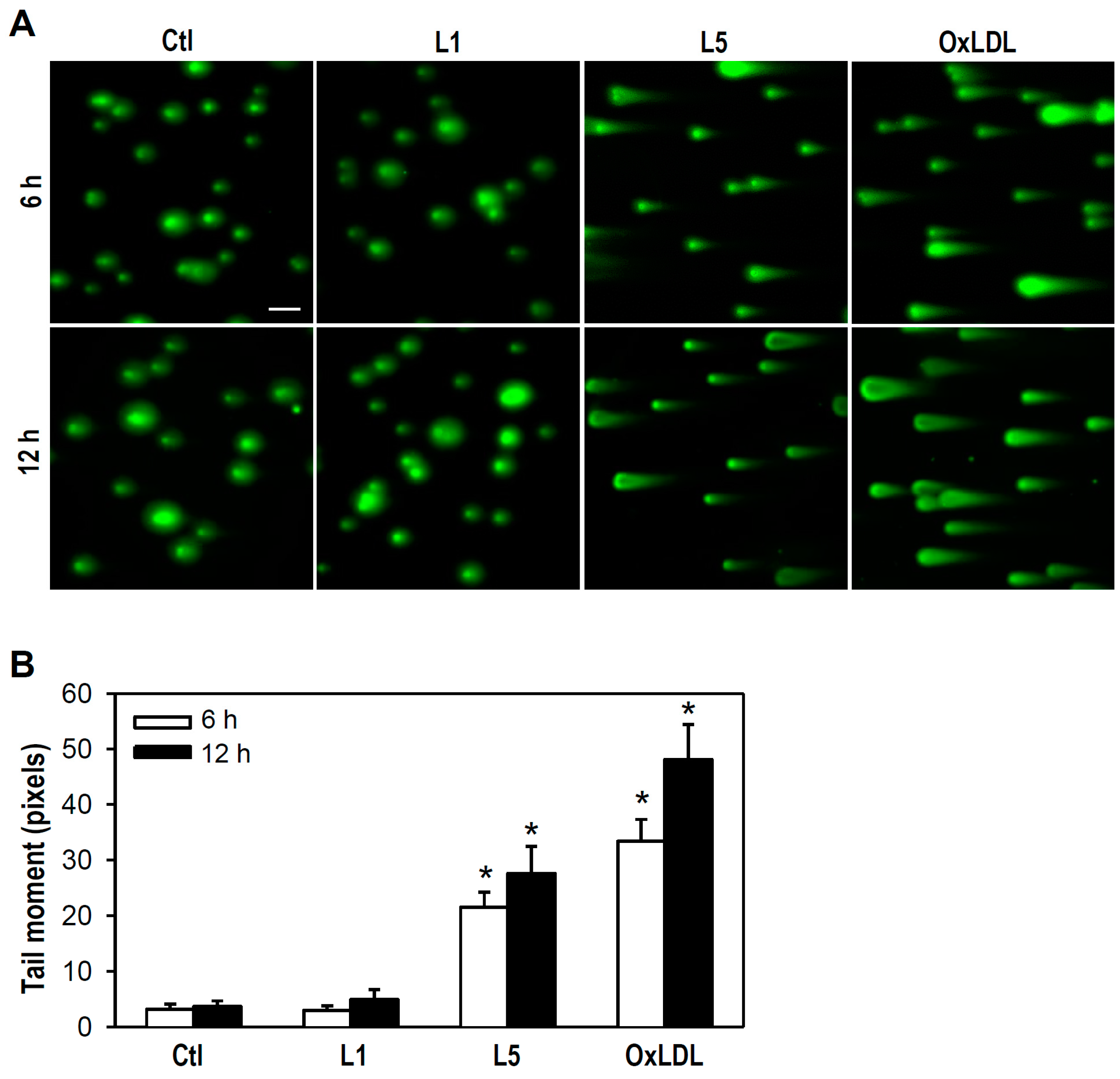 Ijms 18 01744 g002 550