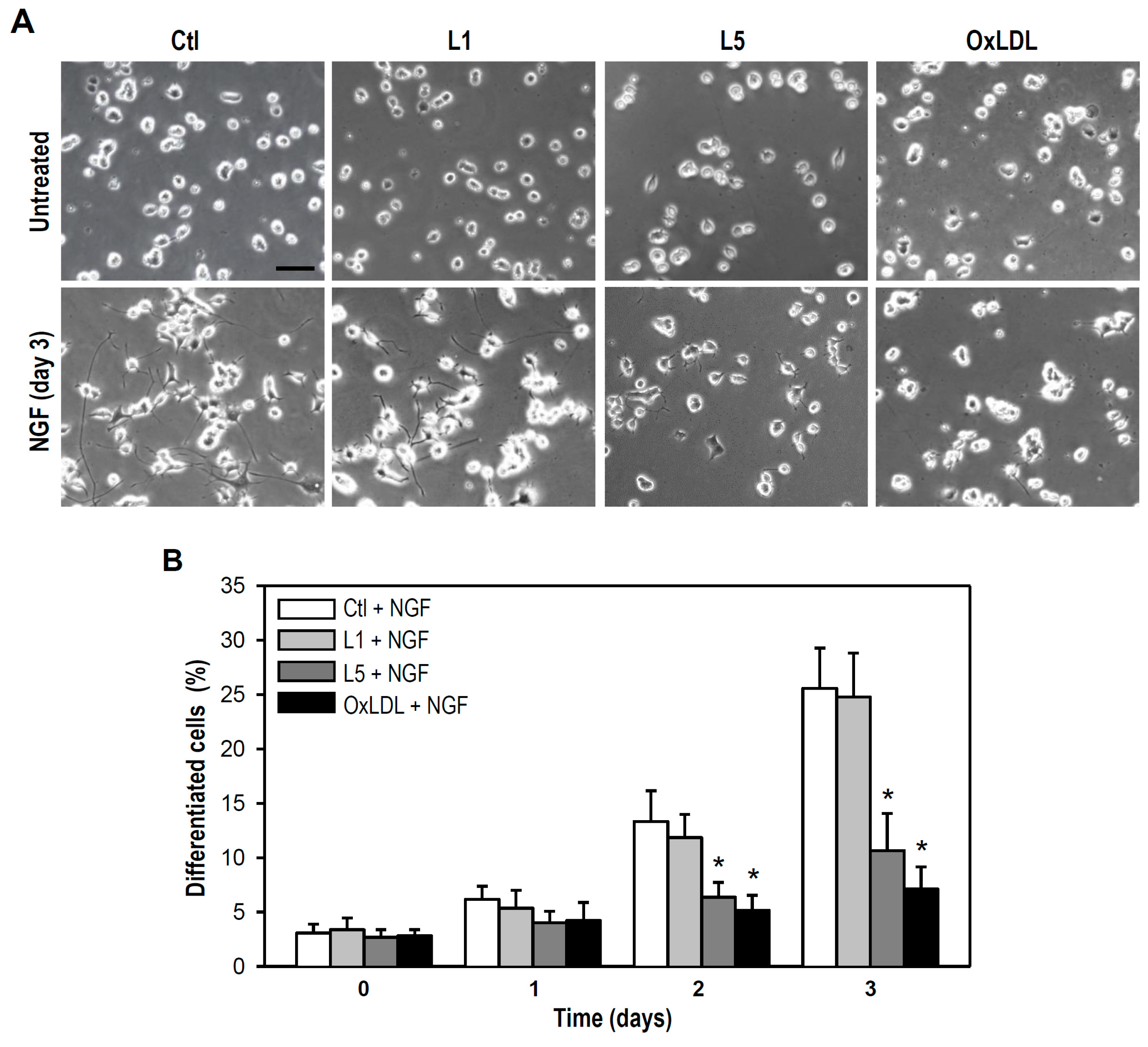 Ijms 18 01744 g005 550