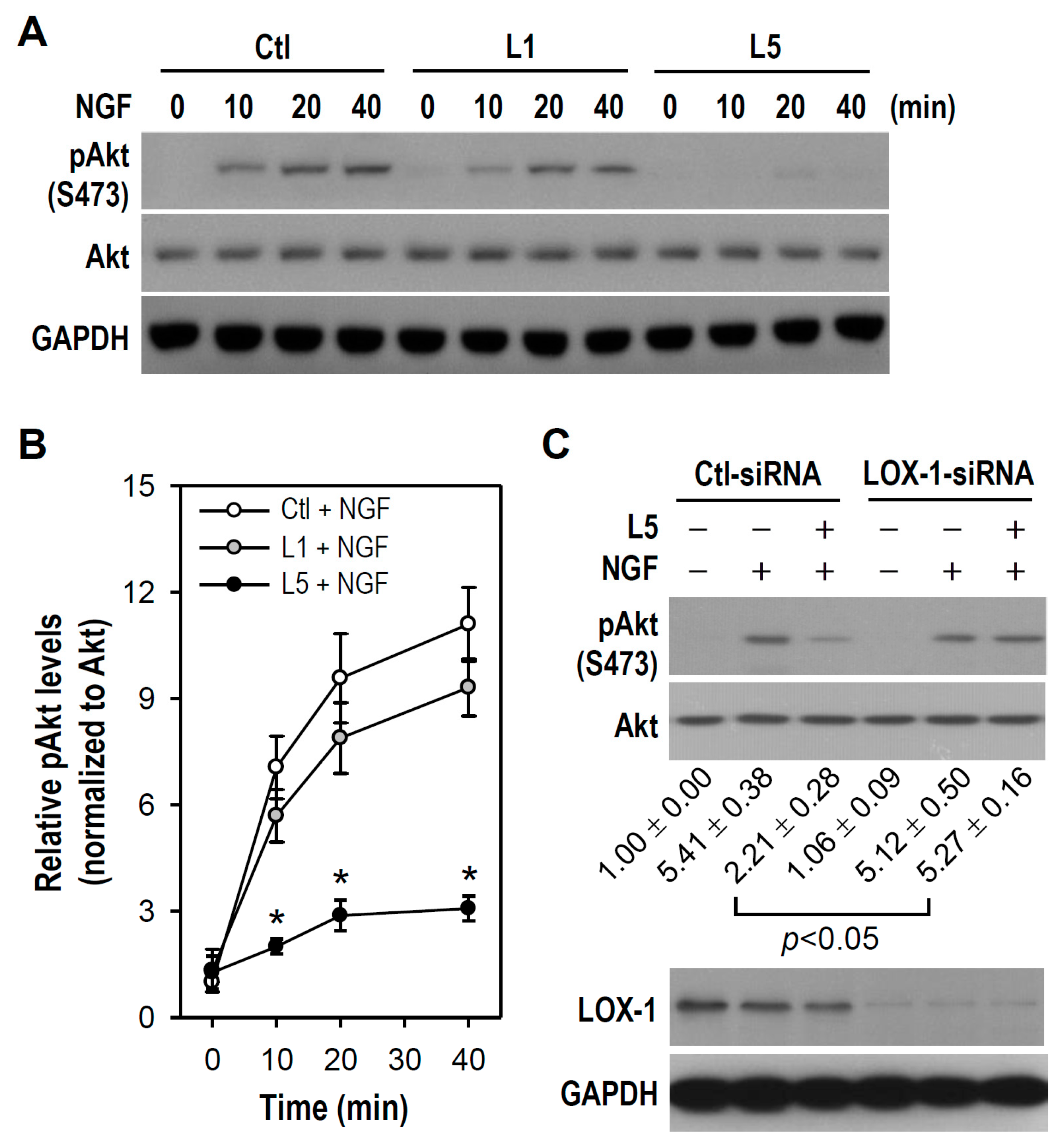 Ijms 18 01744 g008 550