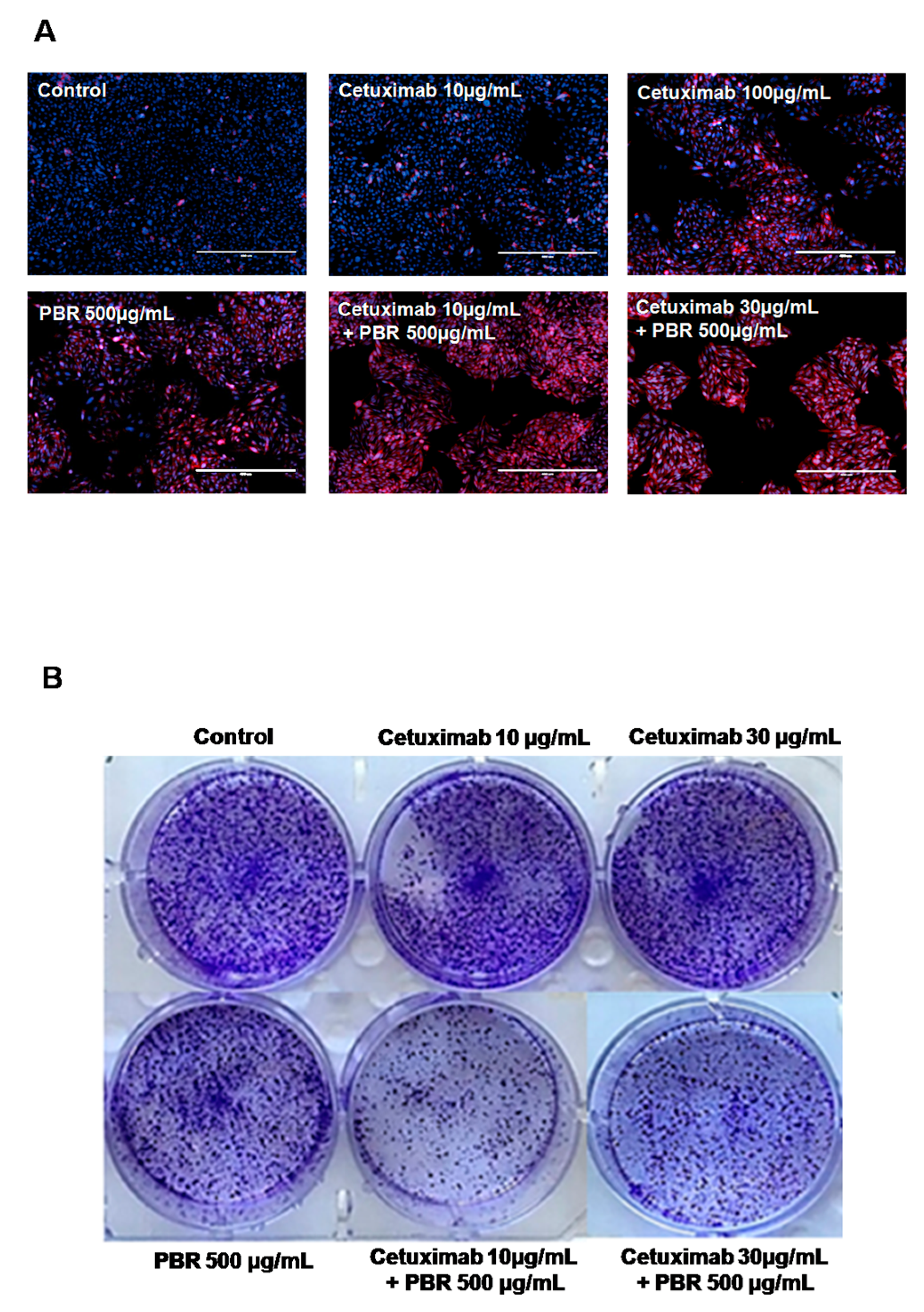 Ijms 18 01746 g002
