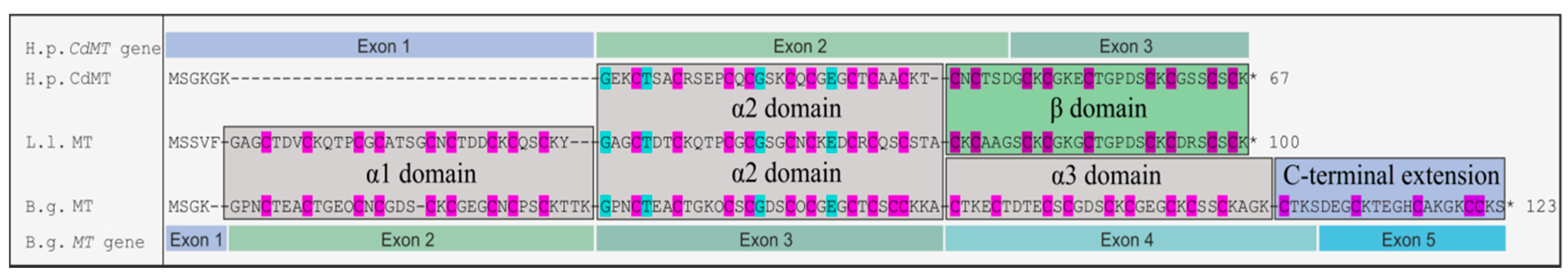 Ijms 18 01747 g003 Ijms 18 01747 g003