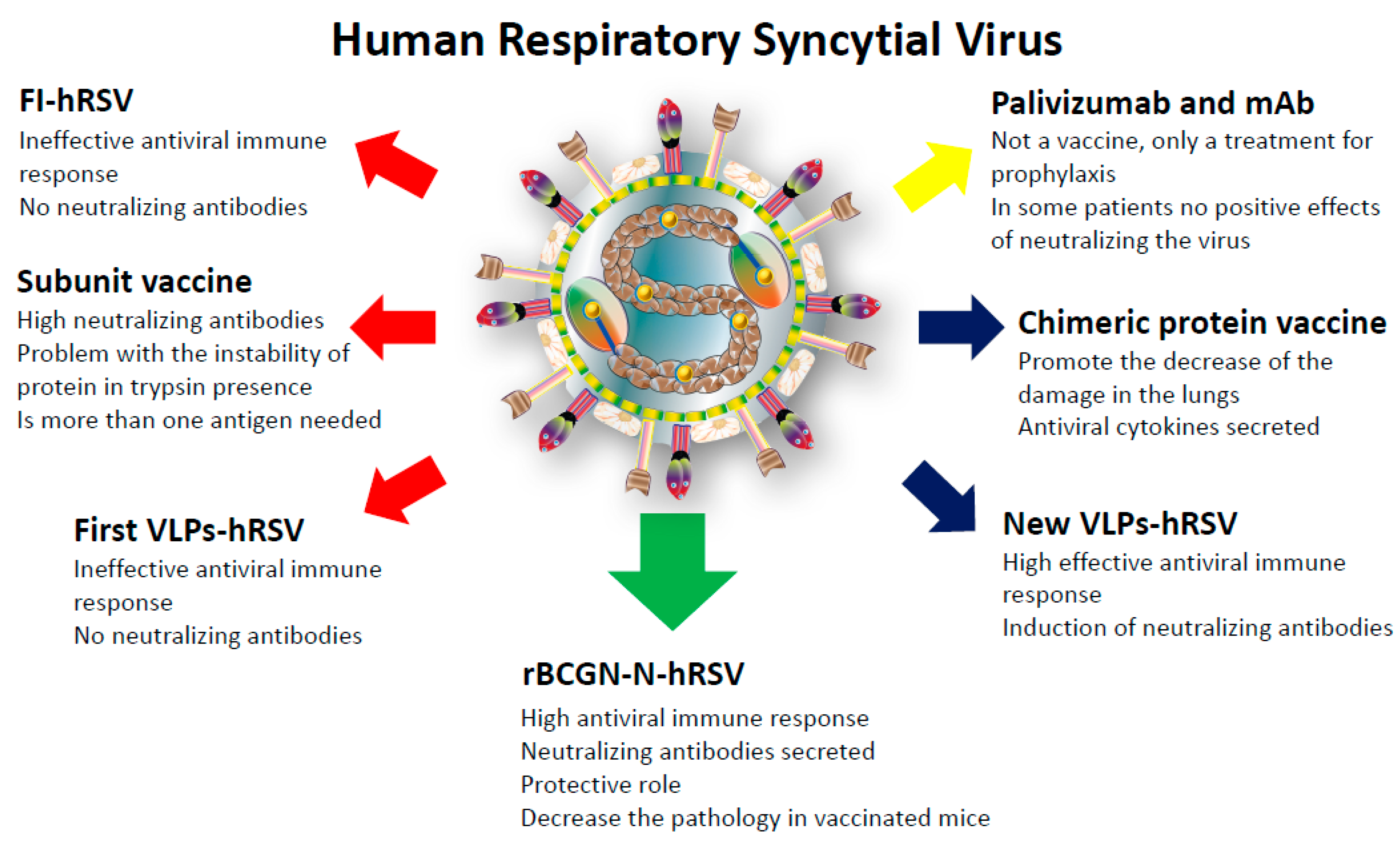 Паливизумабом. Respiratory syncytial virus Infectious disease. Respiratory syncytial virus structure. Respiratory syncytial virus отклонение от нормы. Syncytial virus