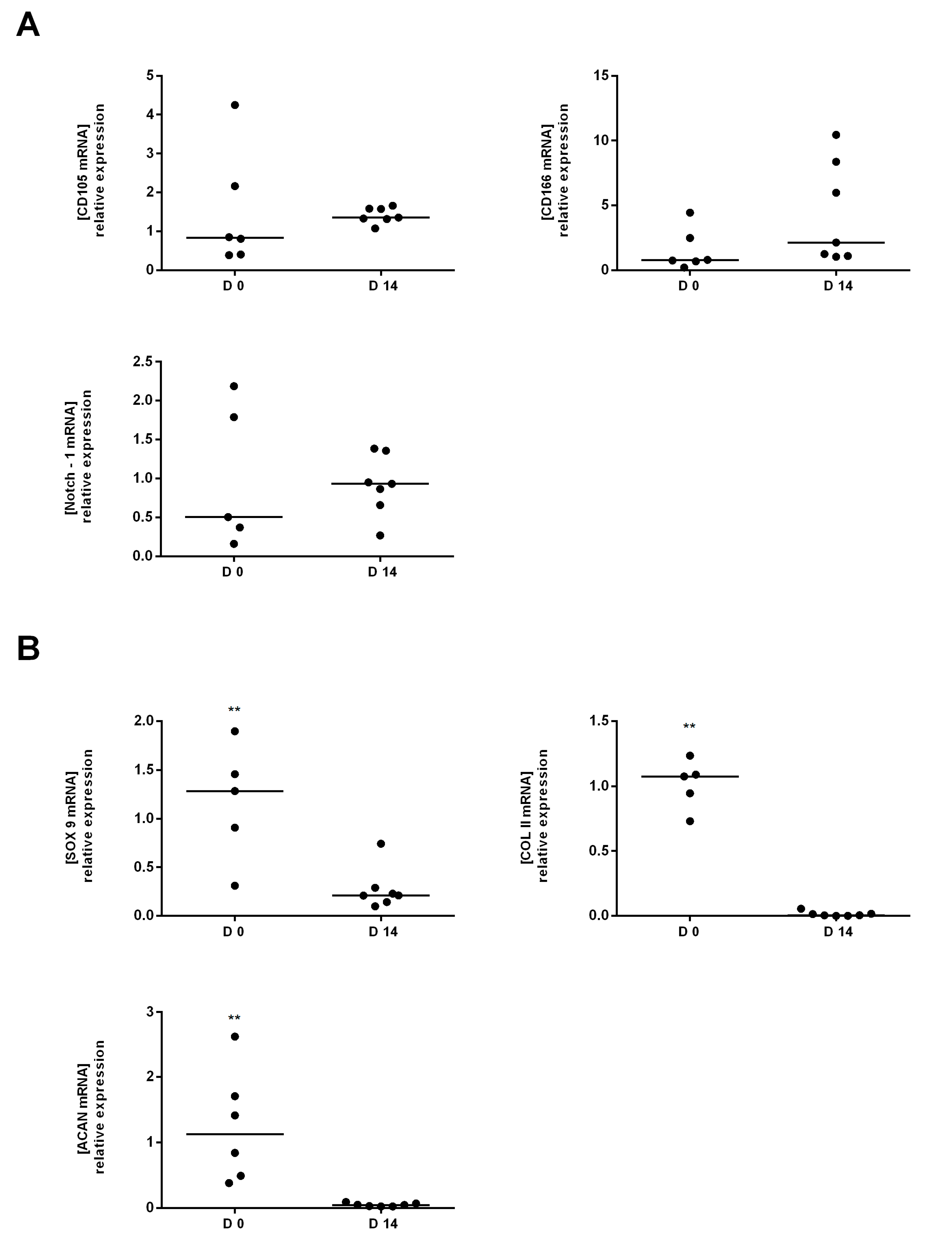 Ijms 18 01759 g004 Ijms 18 01759 g004