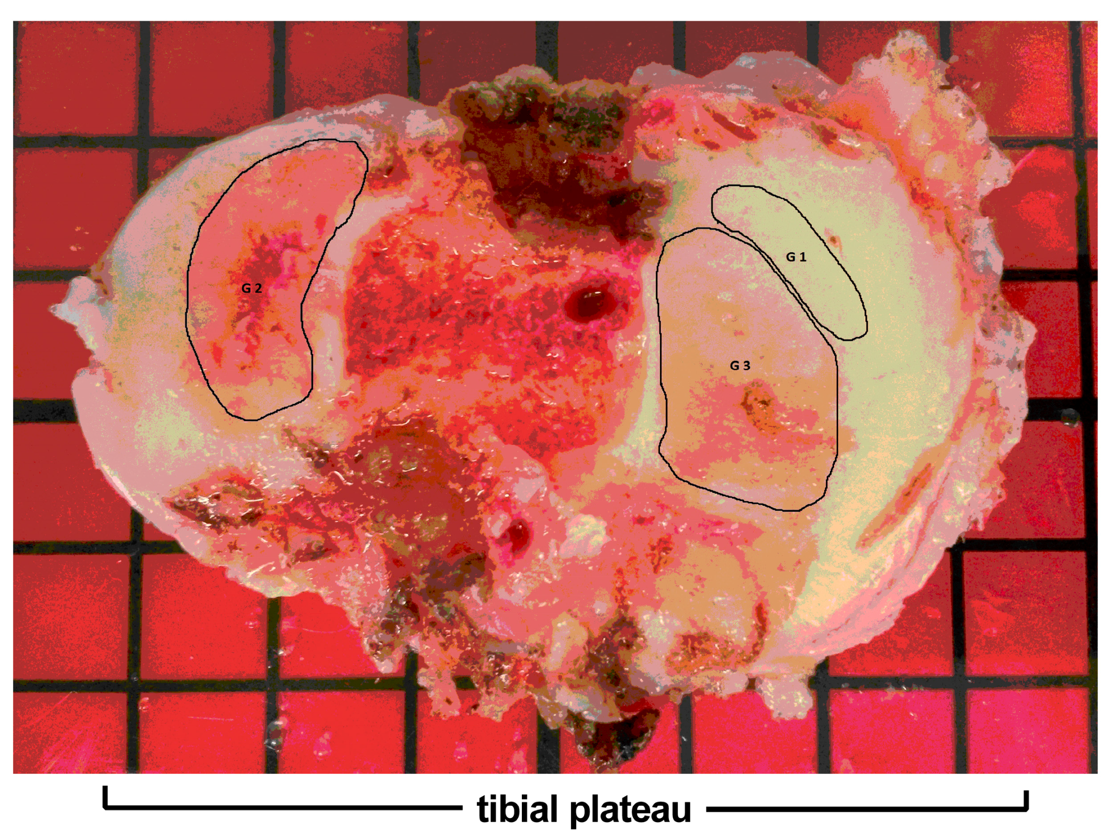 Ijms 18 01759 g007 Ijms 18 01759 g007