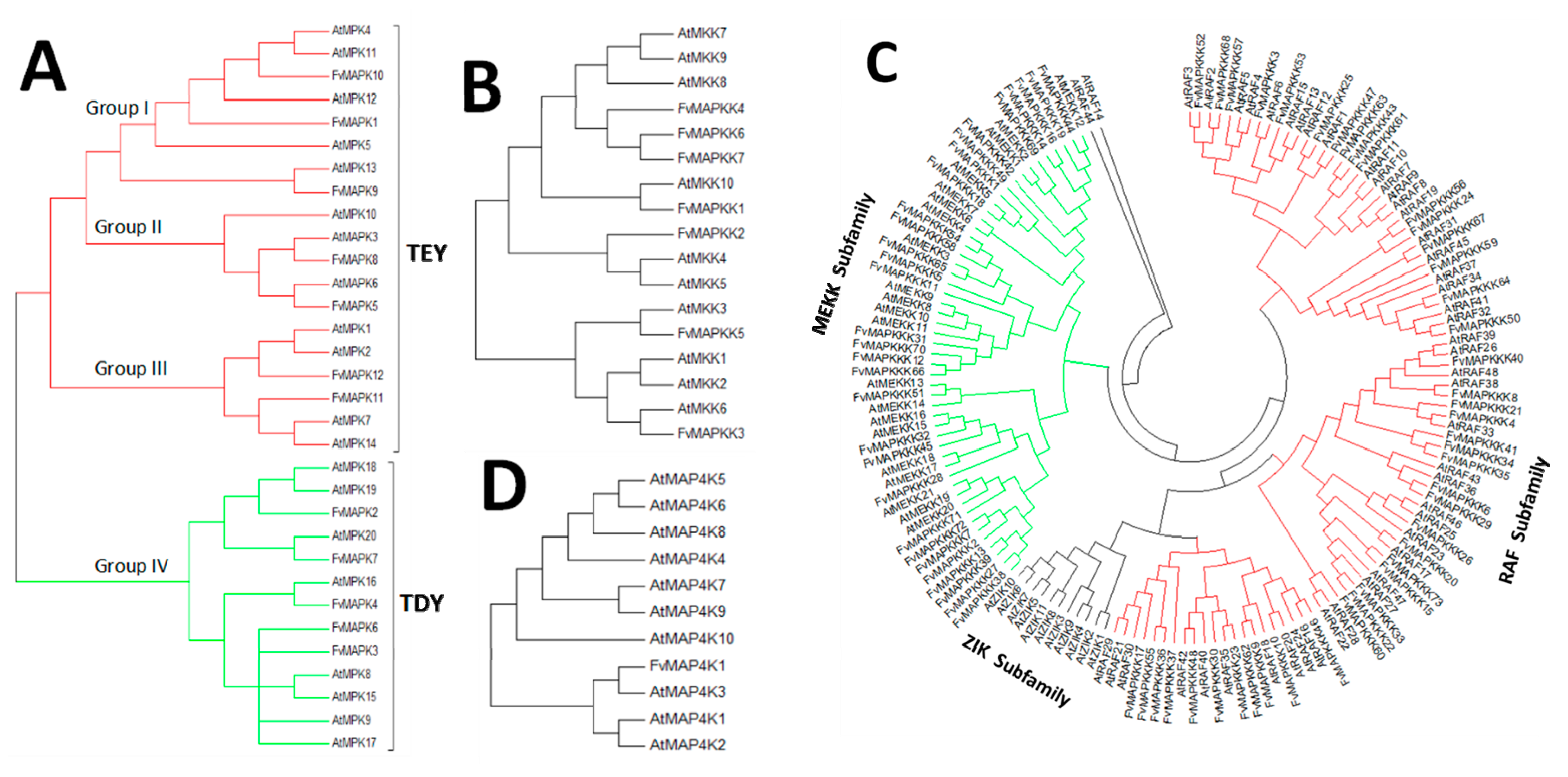 Ijms 18 01766 g003 550