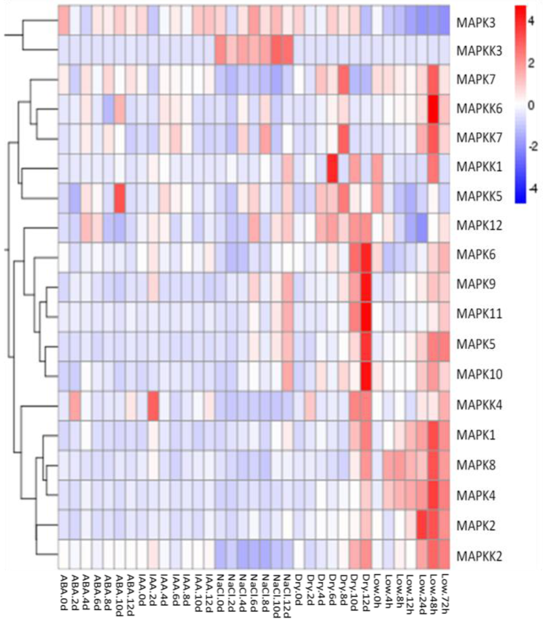 Ijms 18 01766 g007 550