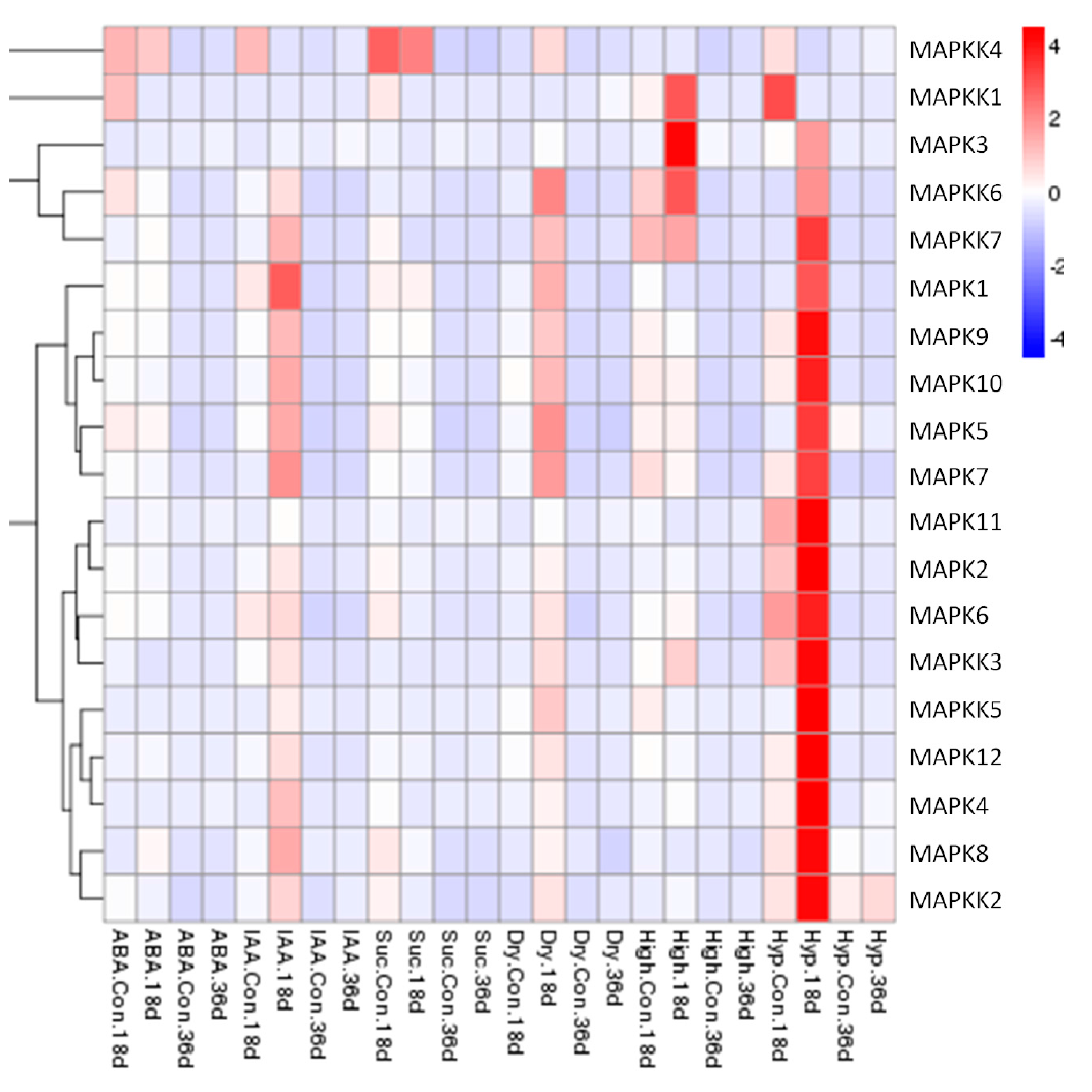 Ijms 18 01766 g008 550