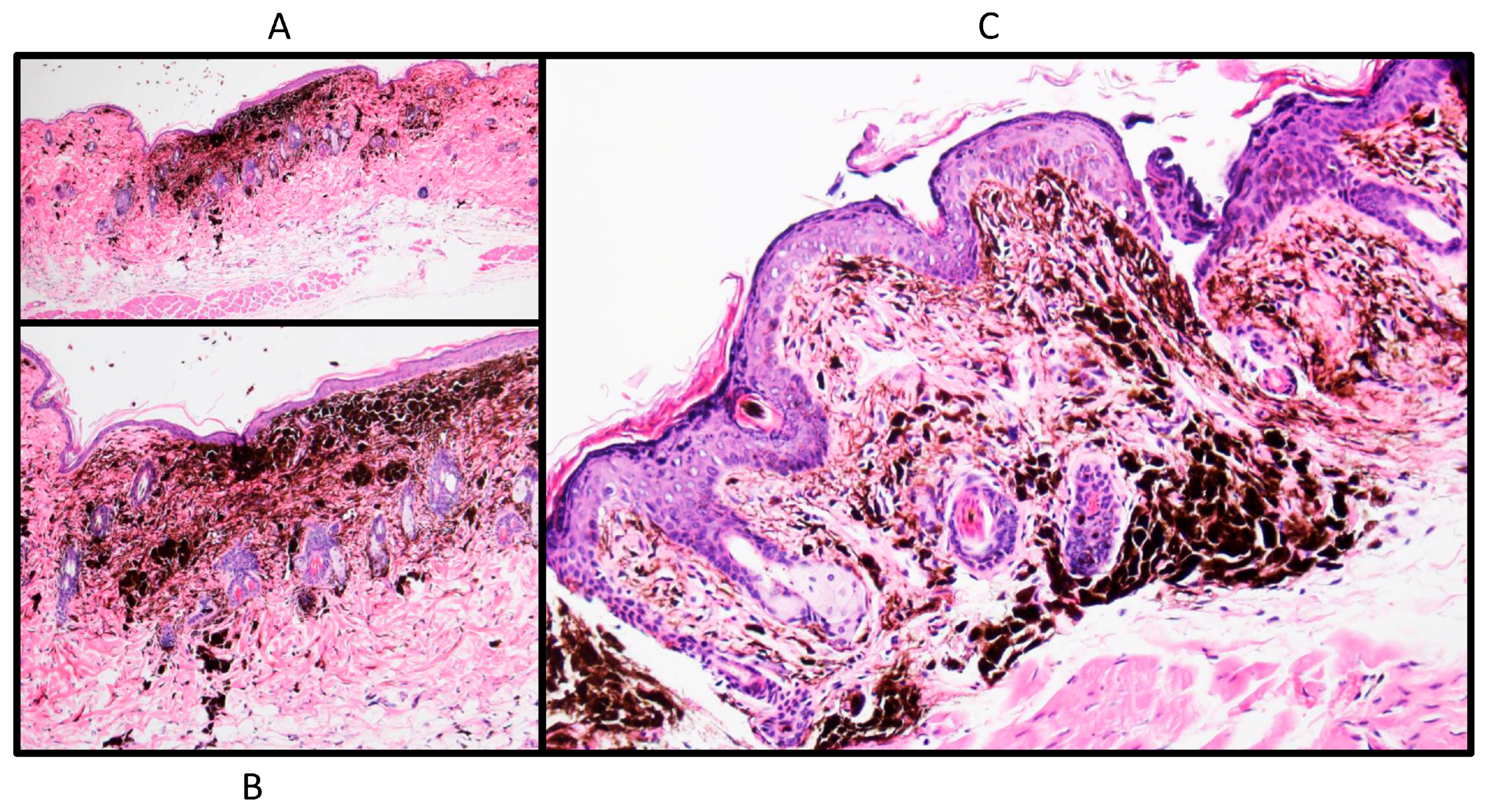 Ijms 18 01769 g003 550