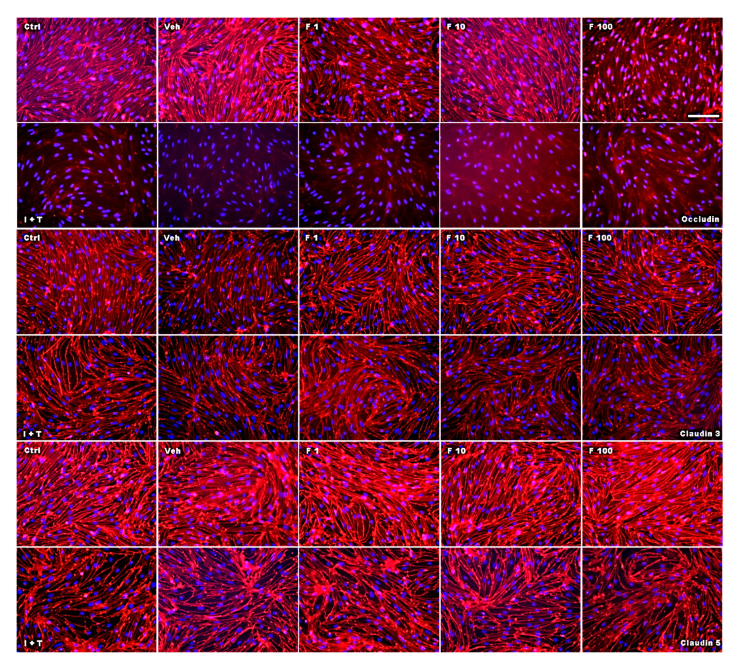 Ijms 18 01783 g006