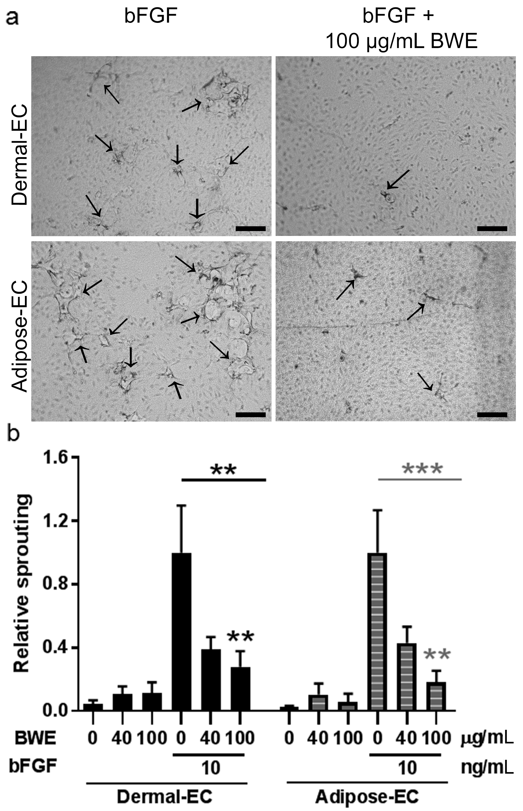Ijms 18 01790 g004 550