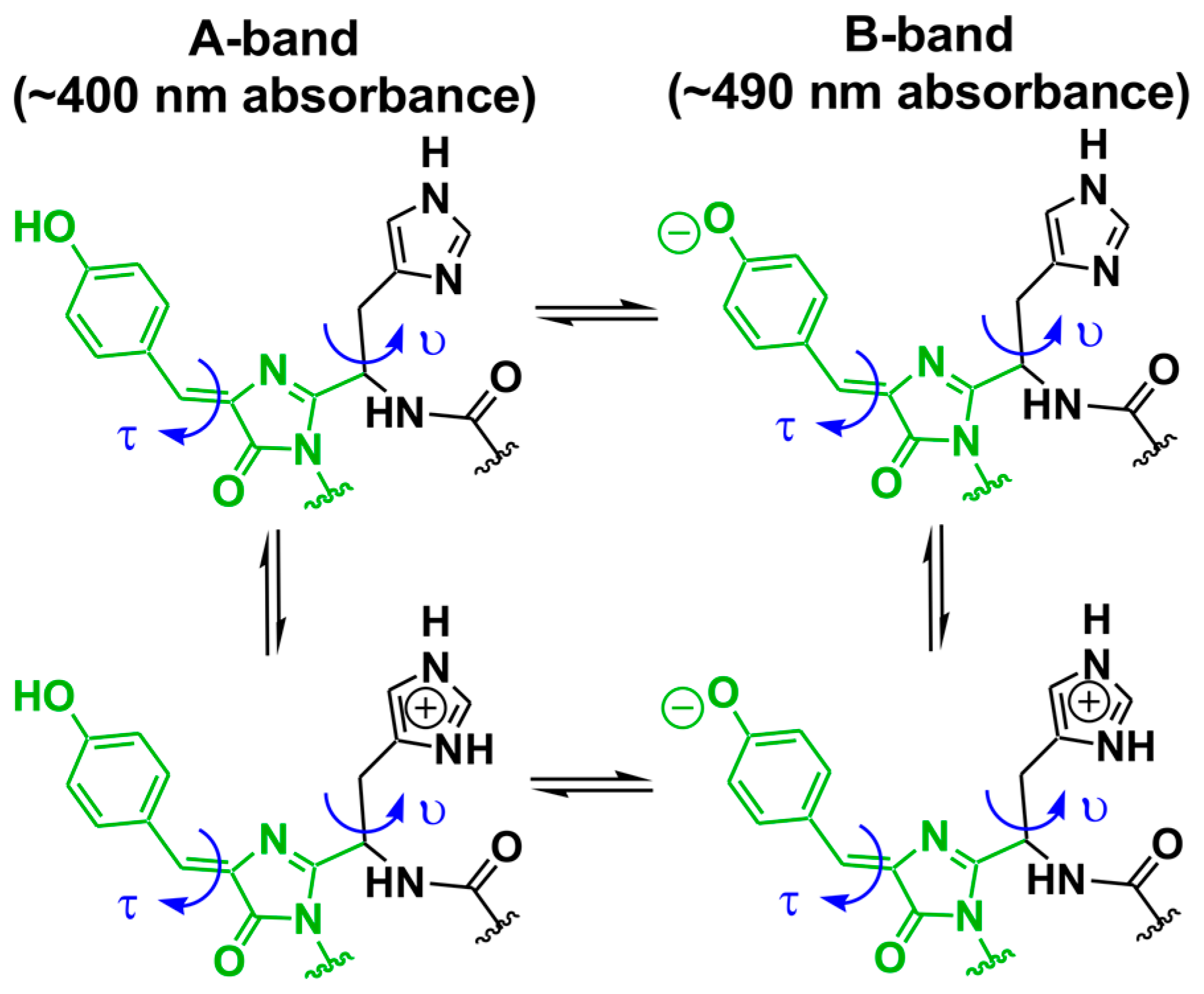 Ijms 18 01792 sch001