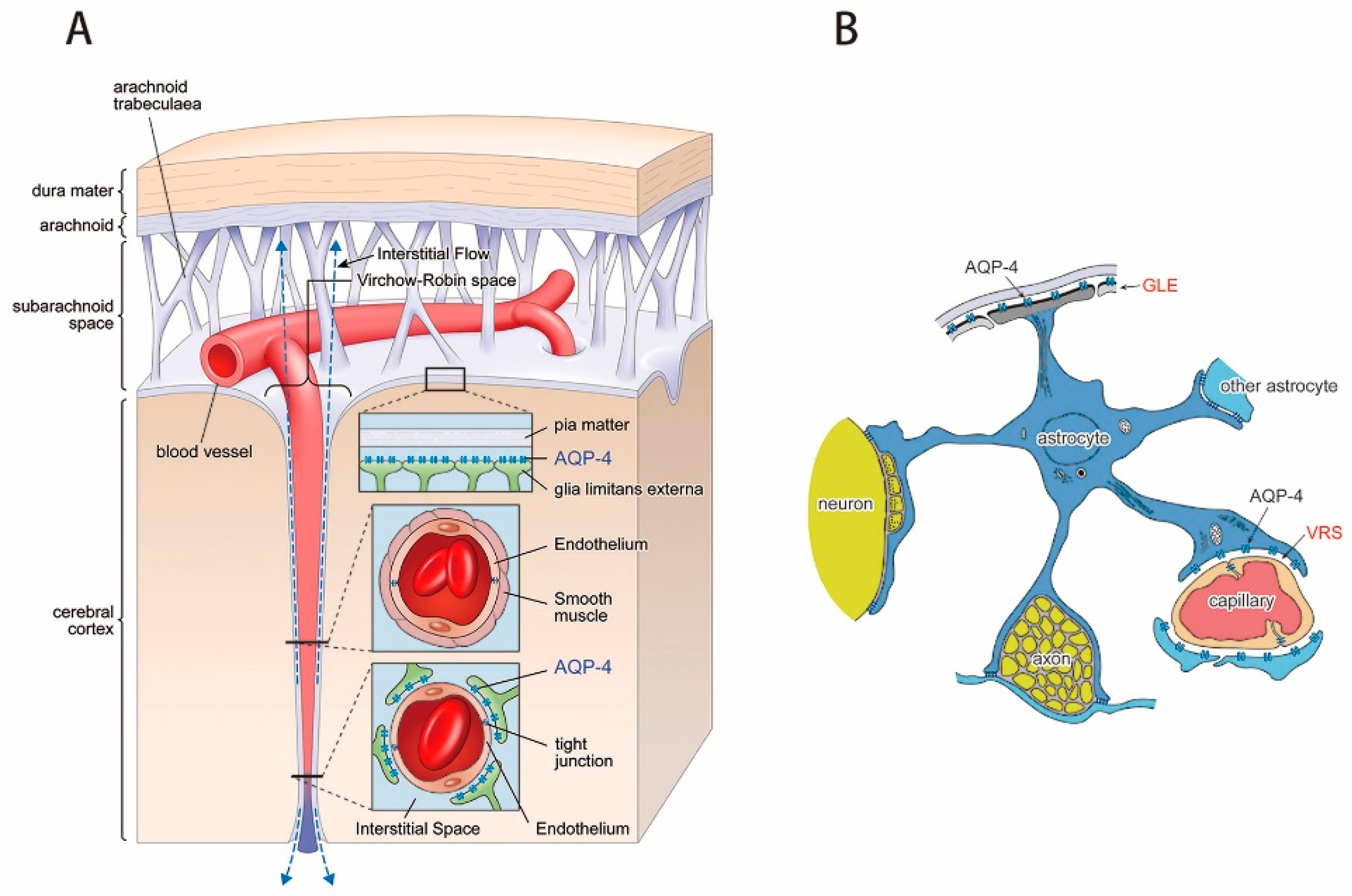 download platelet glycoprotein iib iiia inhibitors in cardiovascular