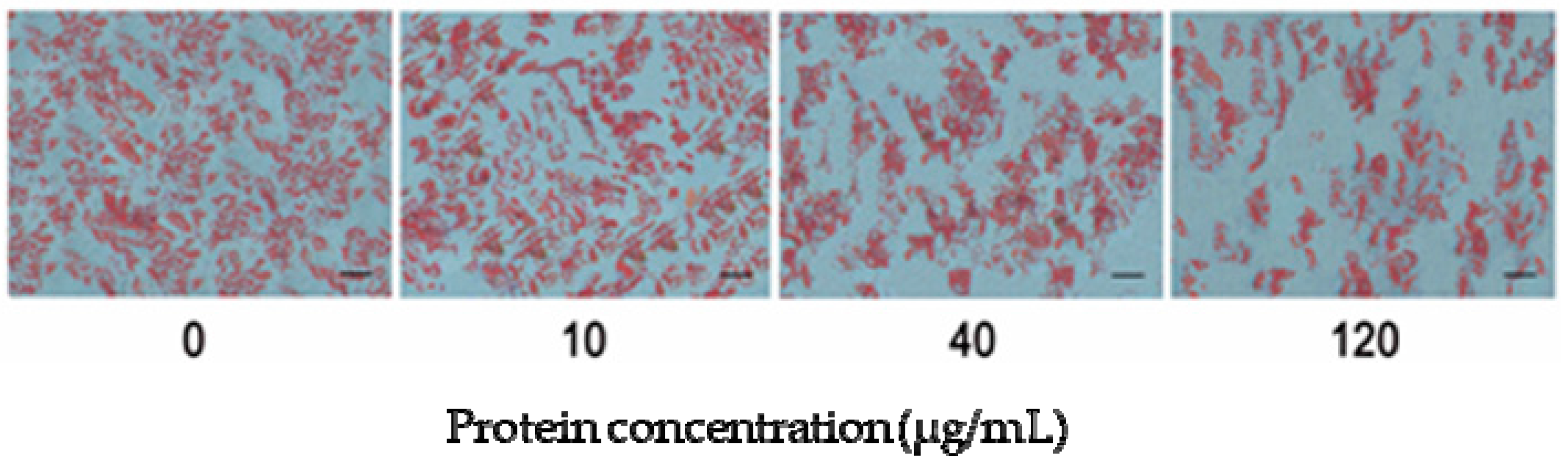 Ijms 18 01799 g004