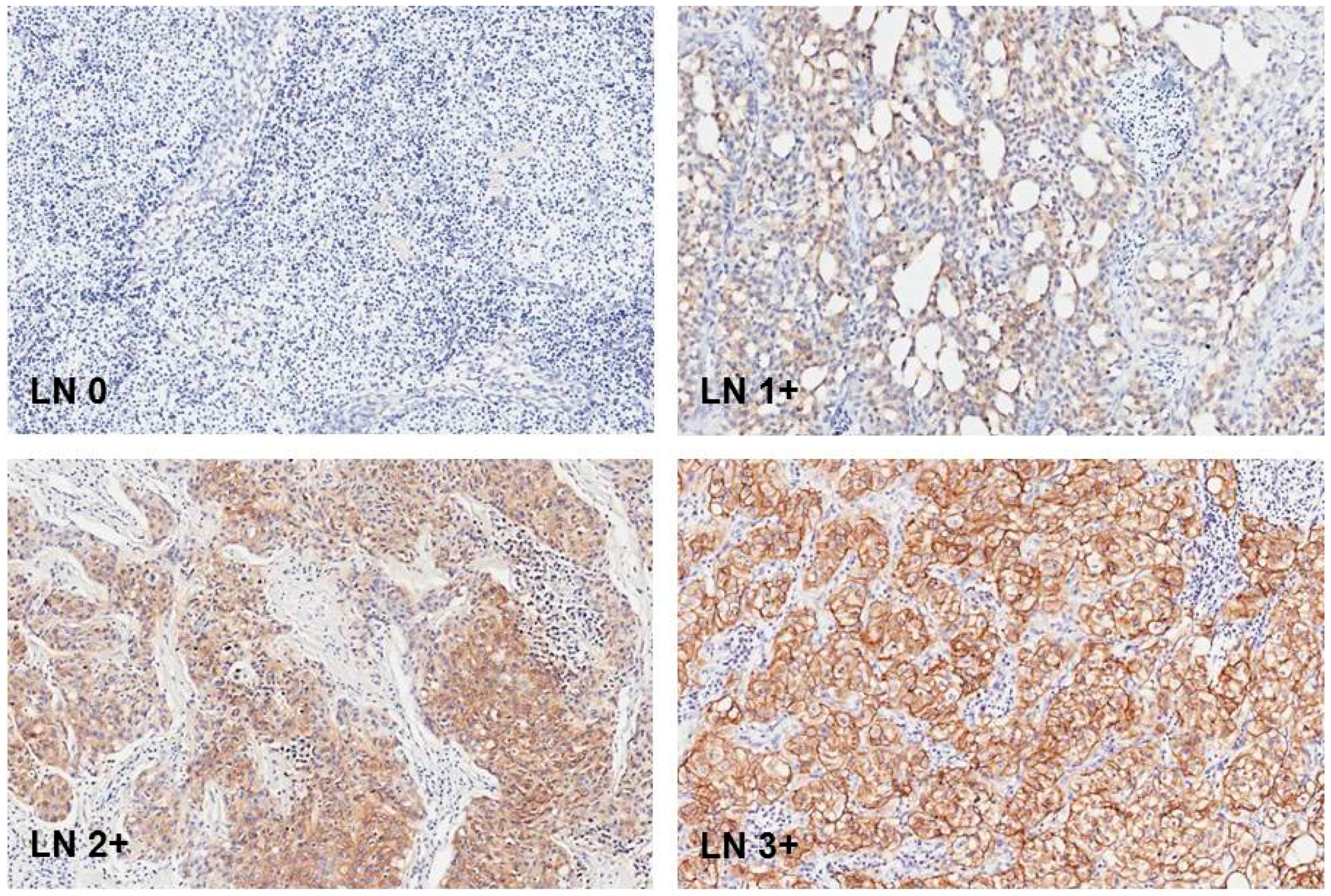 Ijms 18 01802 g001 Ijms 18 01802 g001