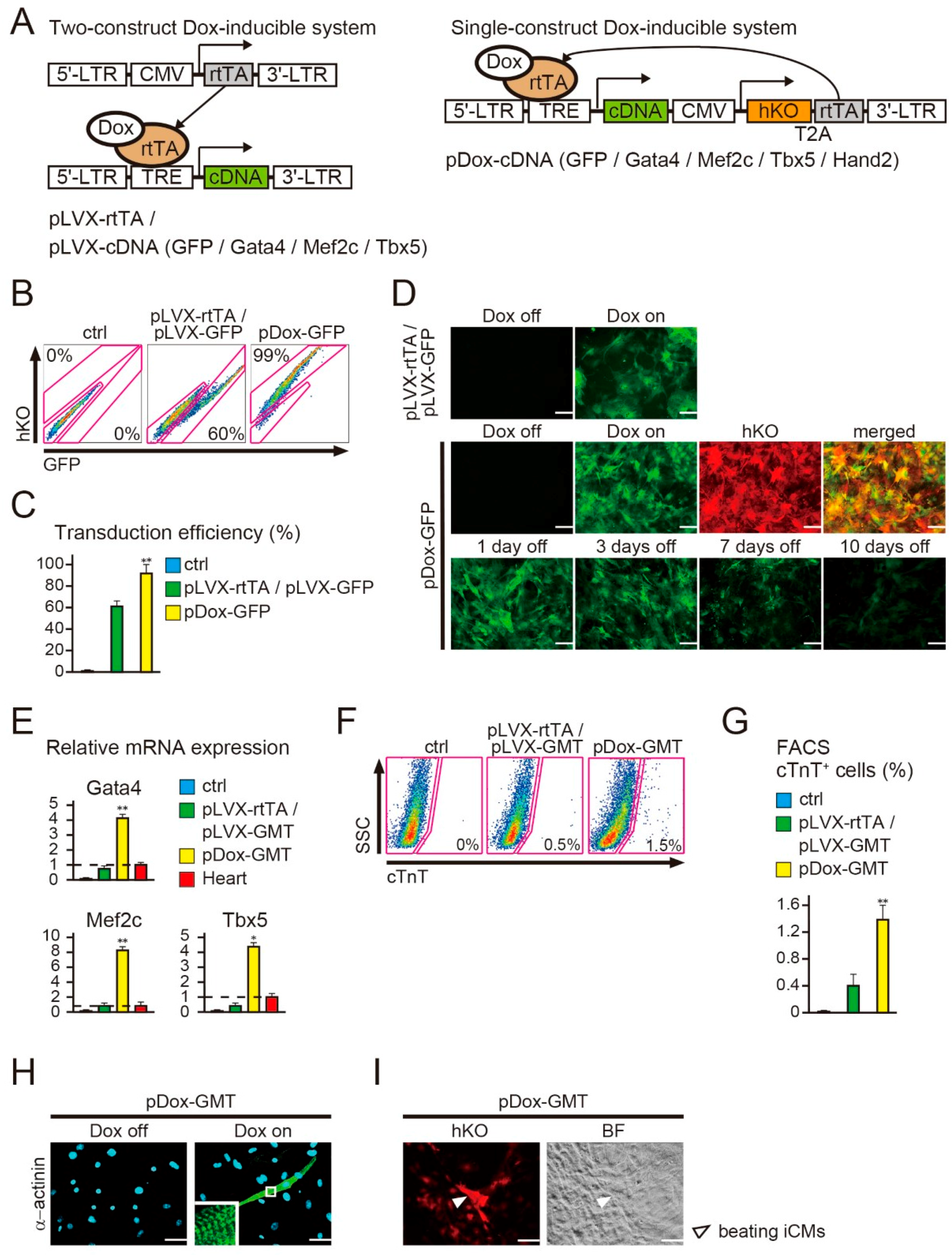 Ijms 18 01805 g001