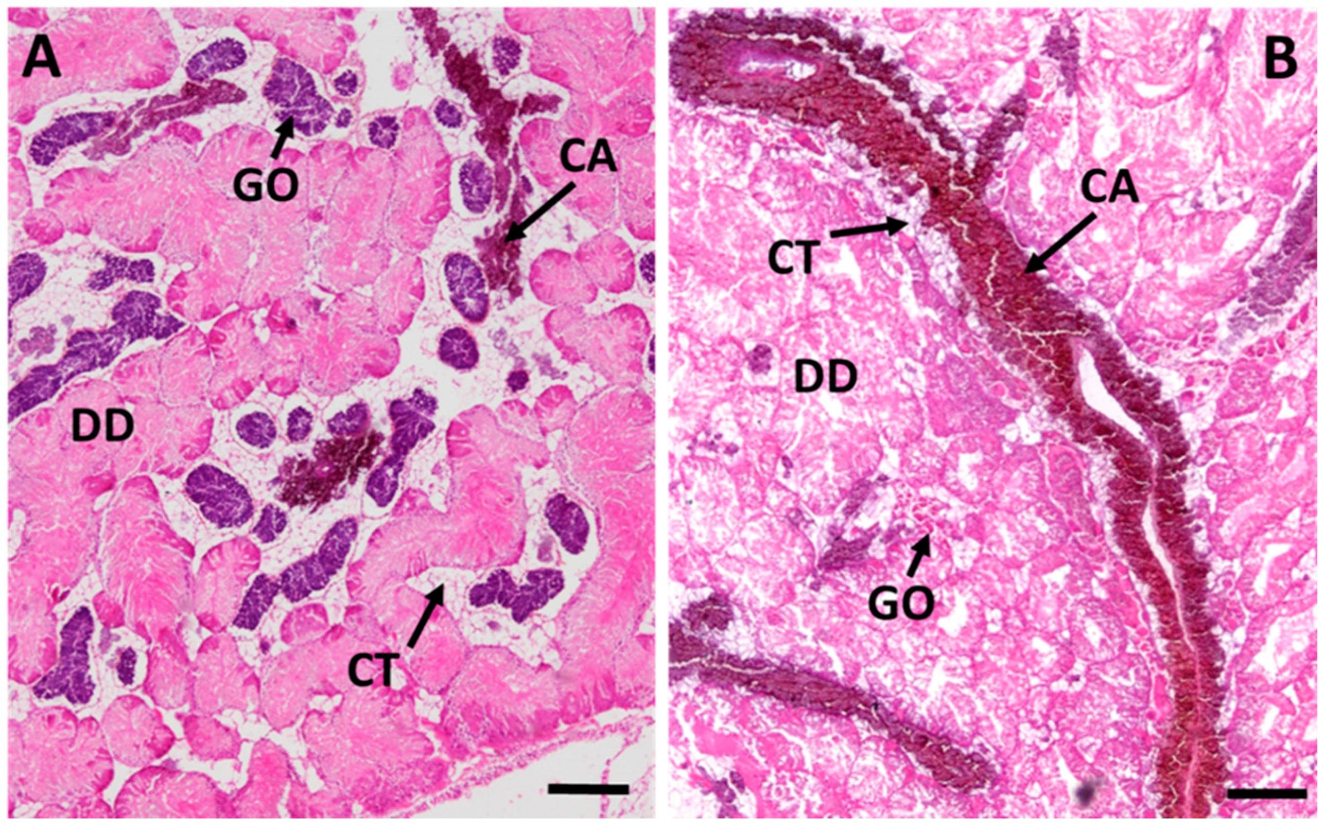 Ijms 18 01815 g009
