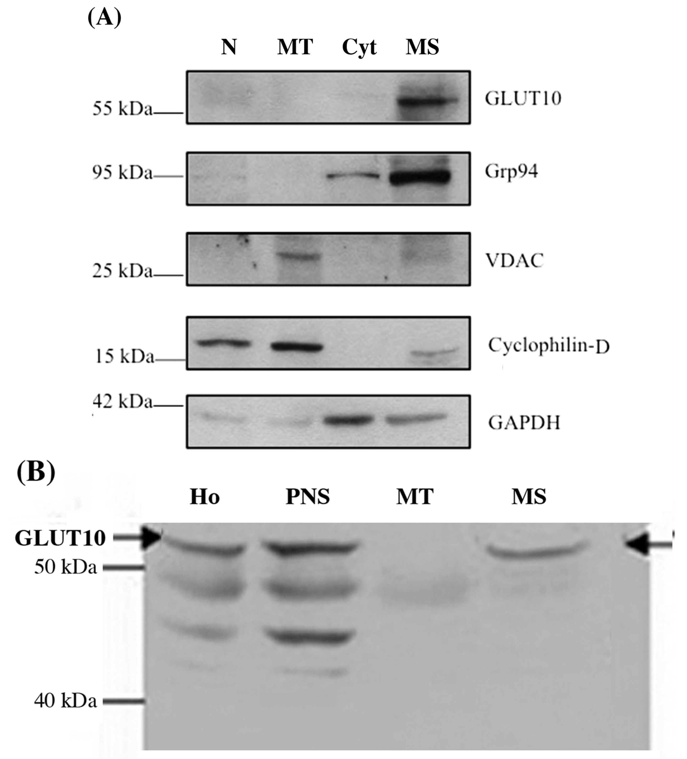 Ijms 18 01820 g001