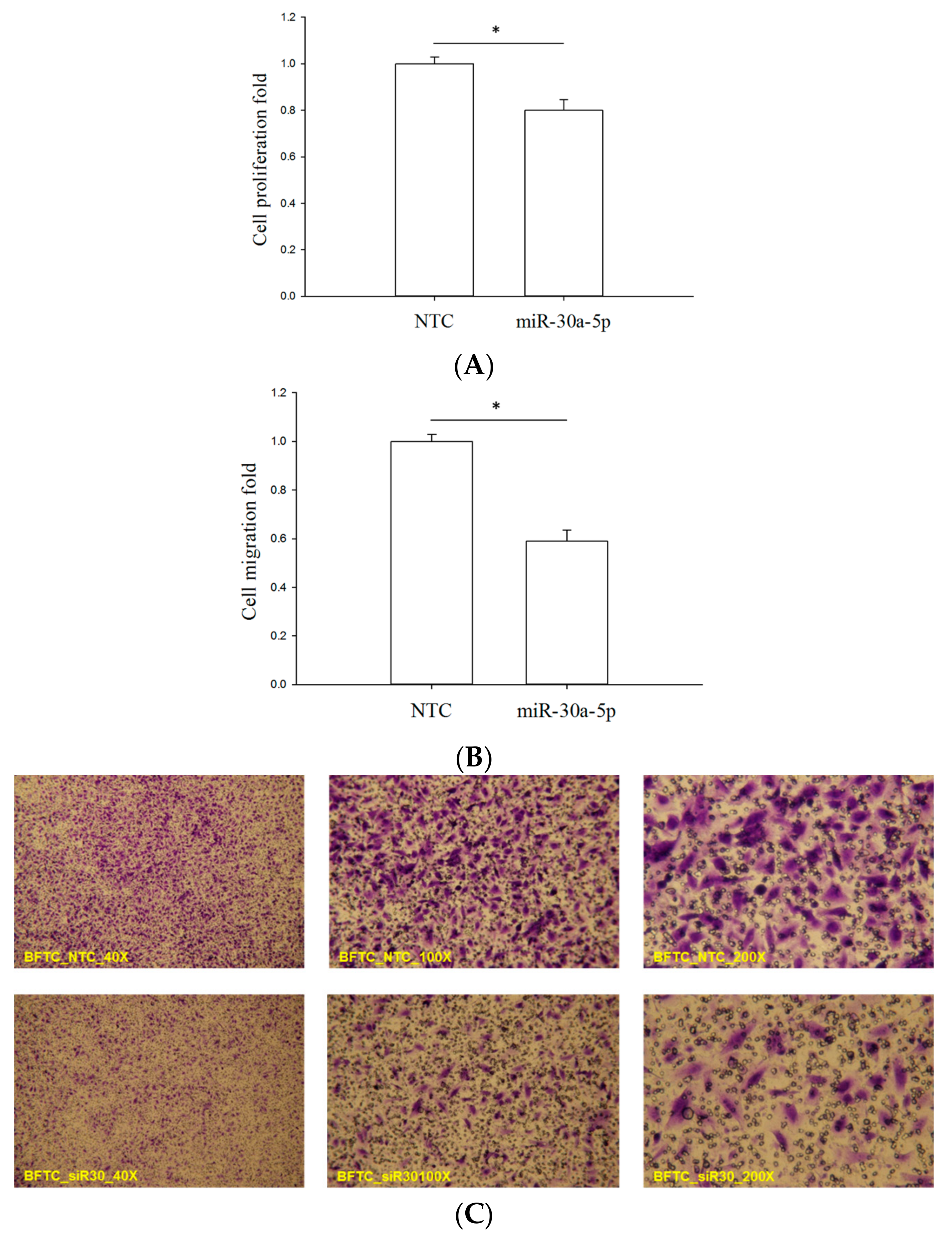 Ijms 18 01826 g004