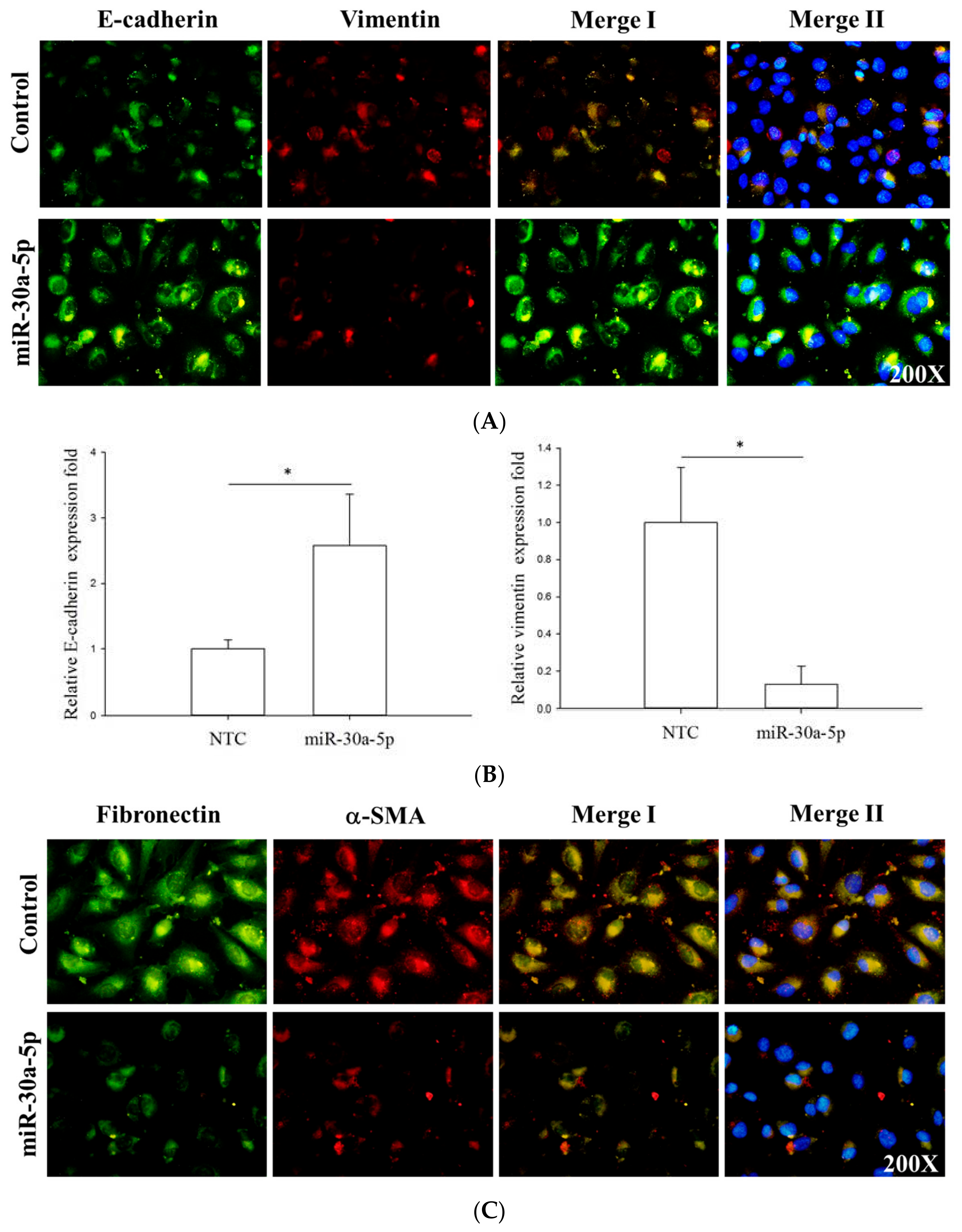 Ijms 18 01826 g005a