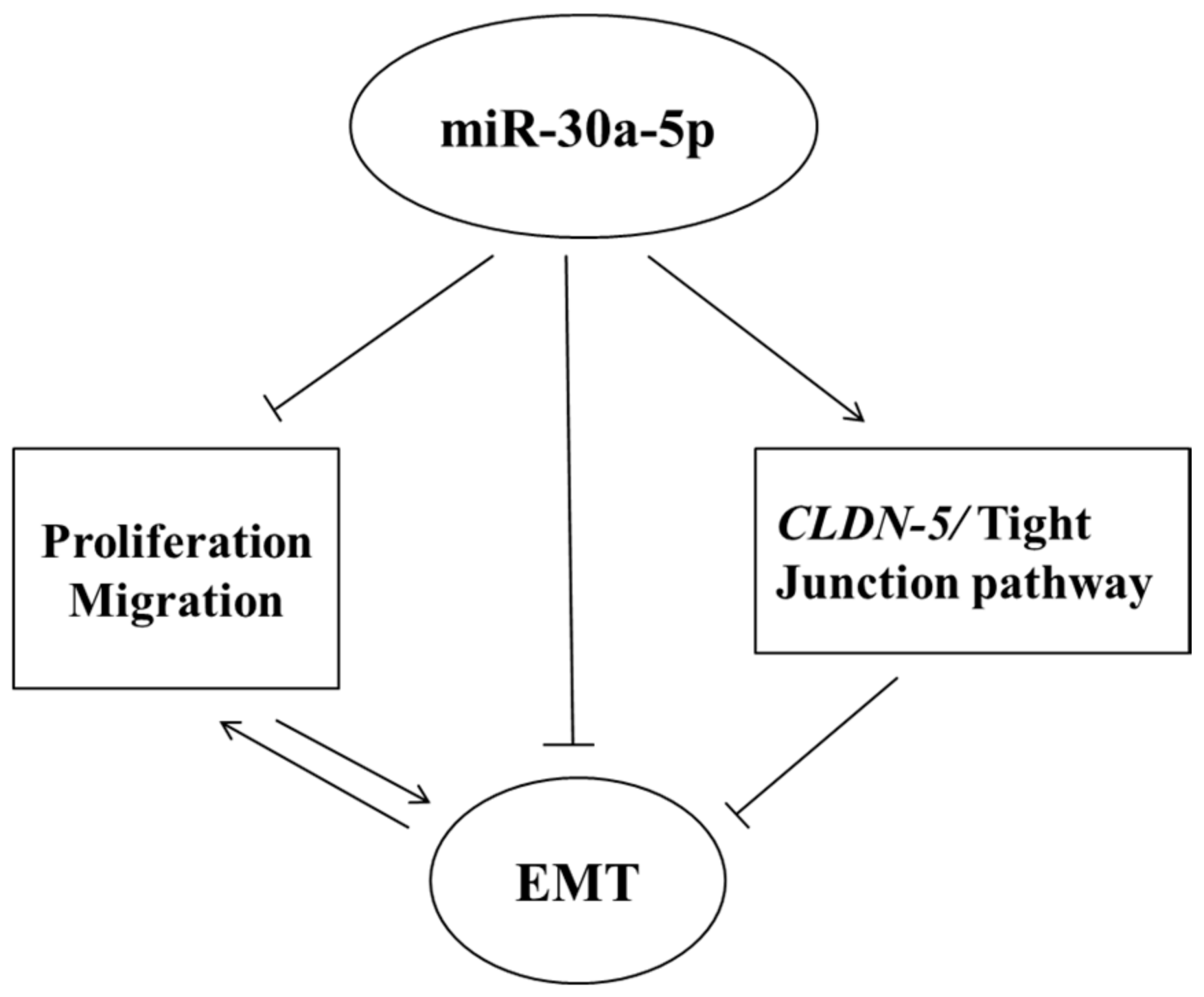 Ijms 18 01826 g008