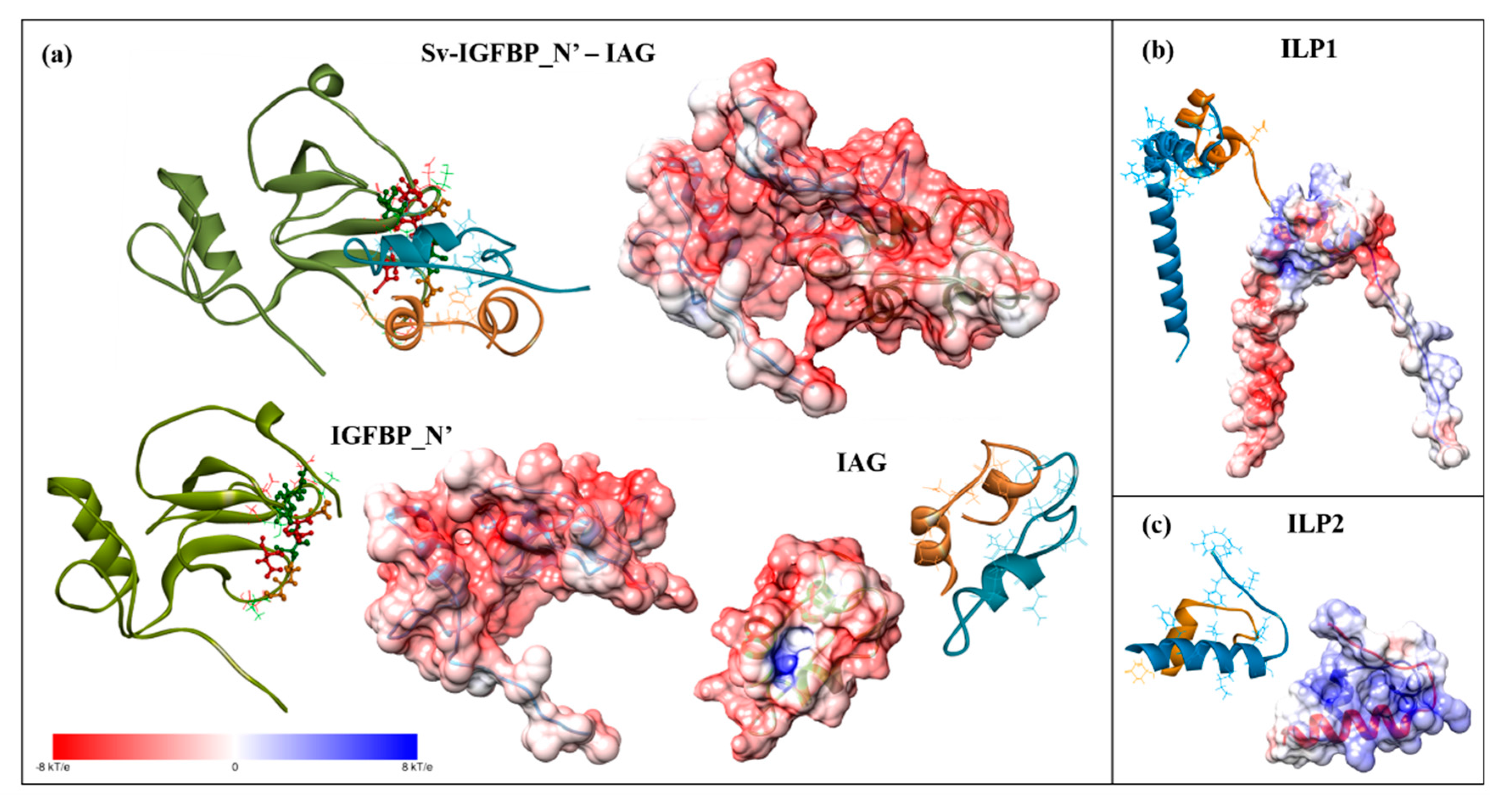 Ijms 18 01832 g007