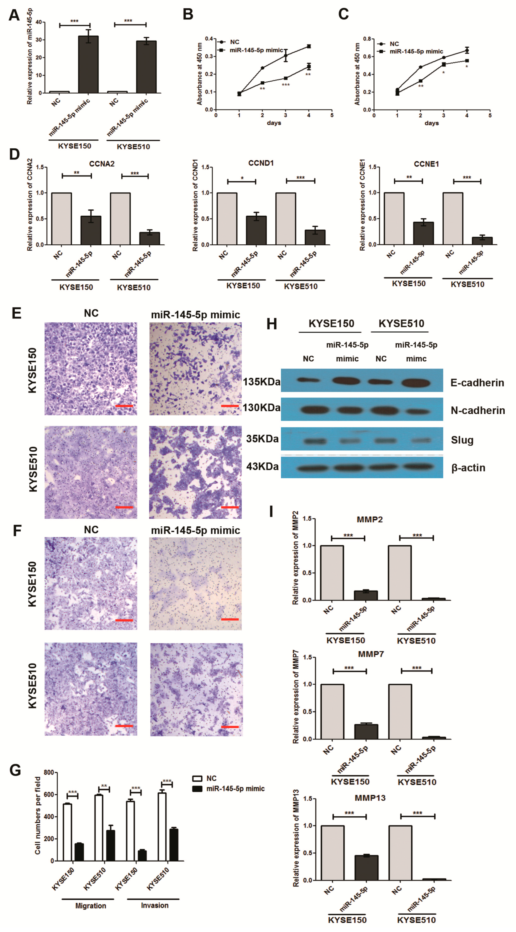 Ijms 18 01833 g002 550