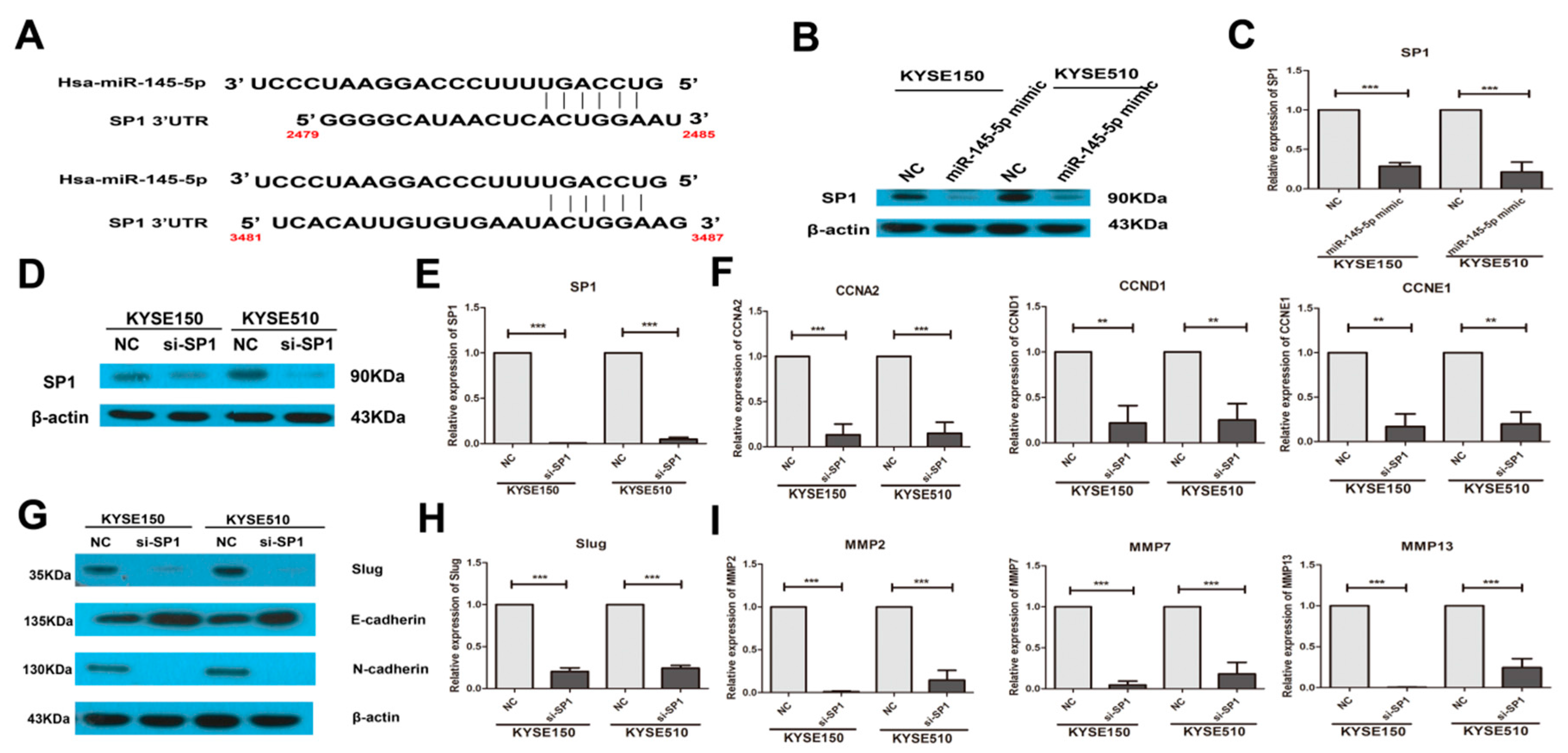 Ijms 18 01833 g004 550