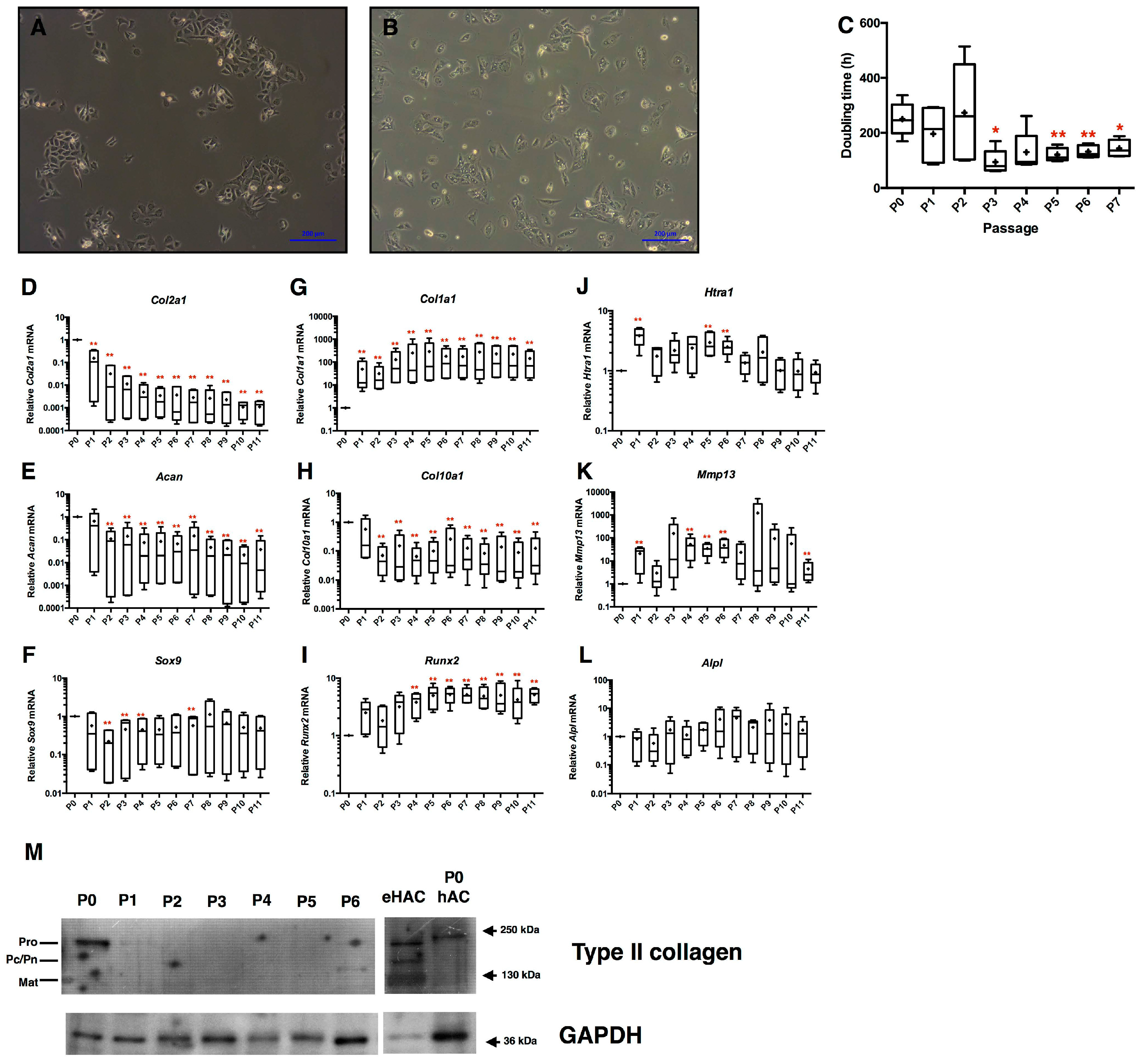 Ijms 18 01842 g002 550