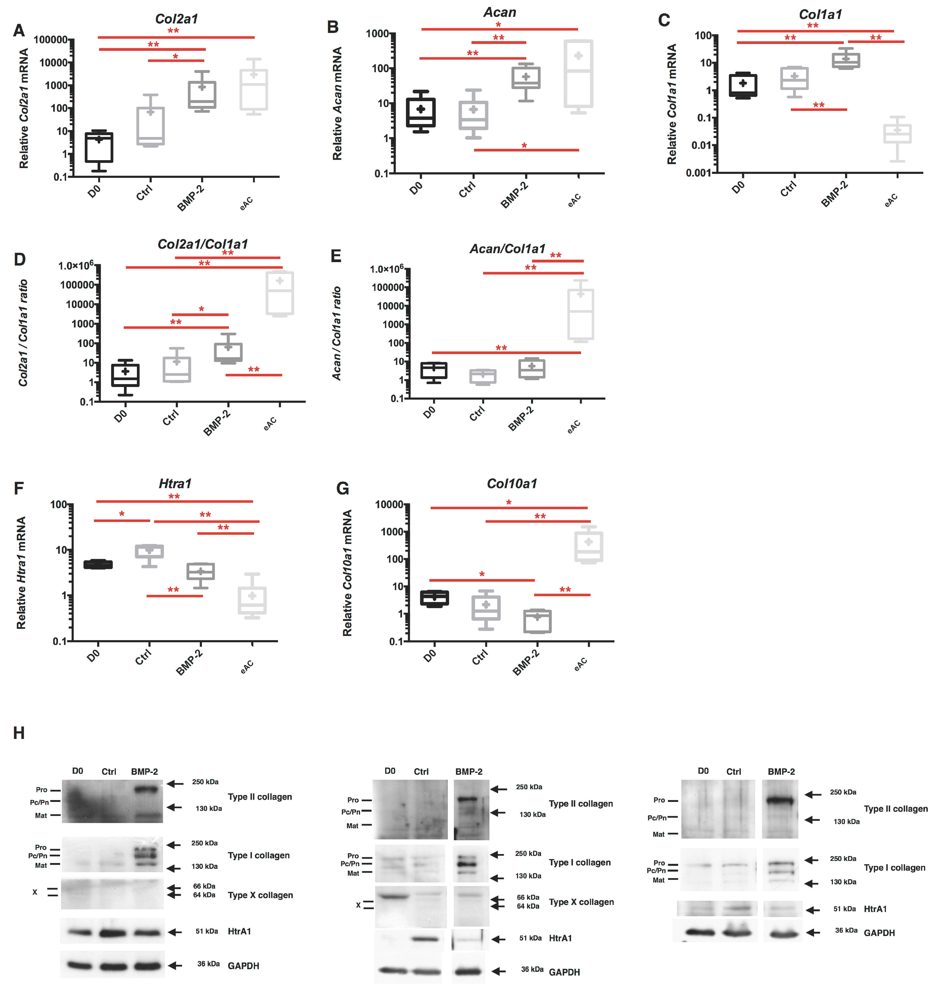 Ijms 18 01842 g004 550