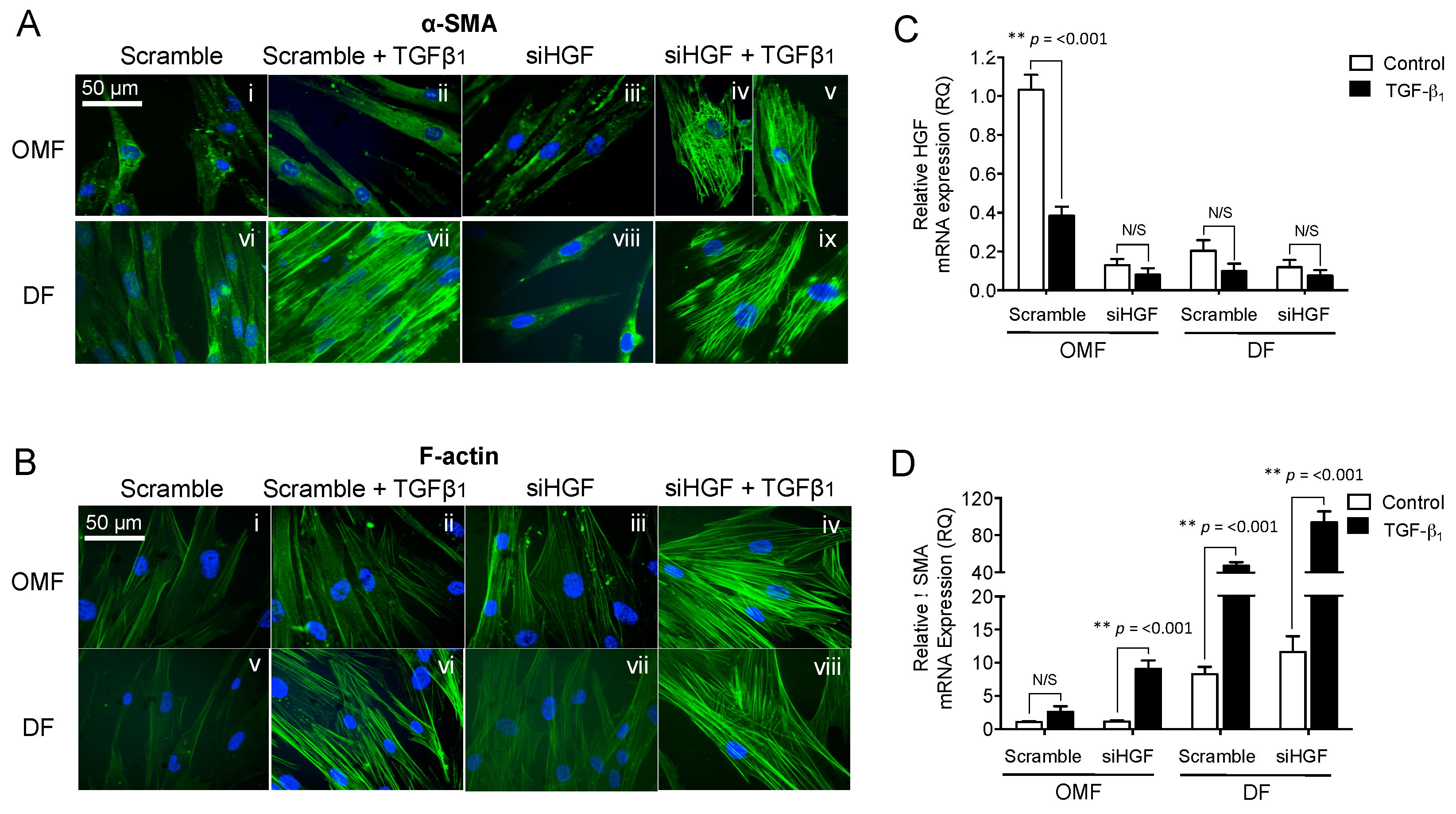 Ijms 18 01843 g004 550