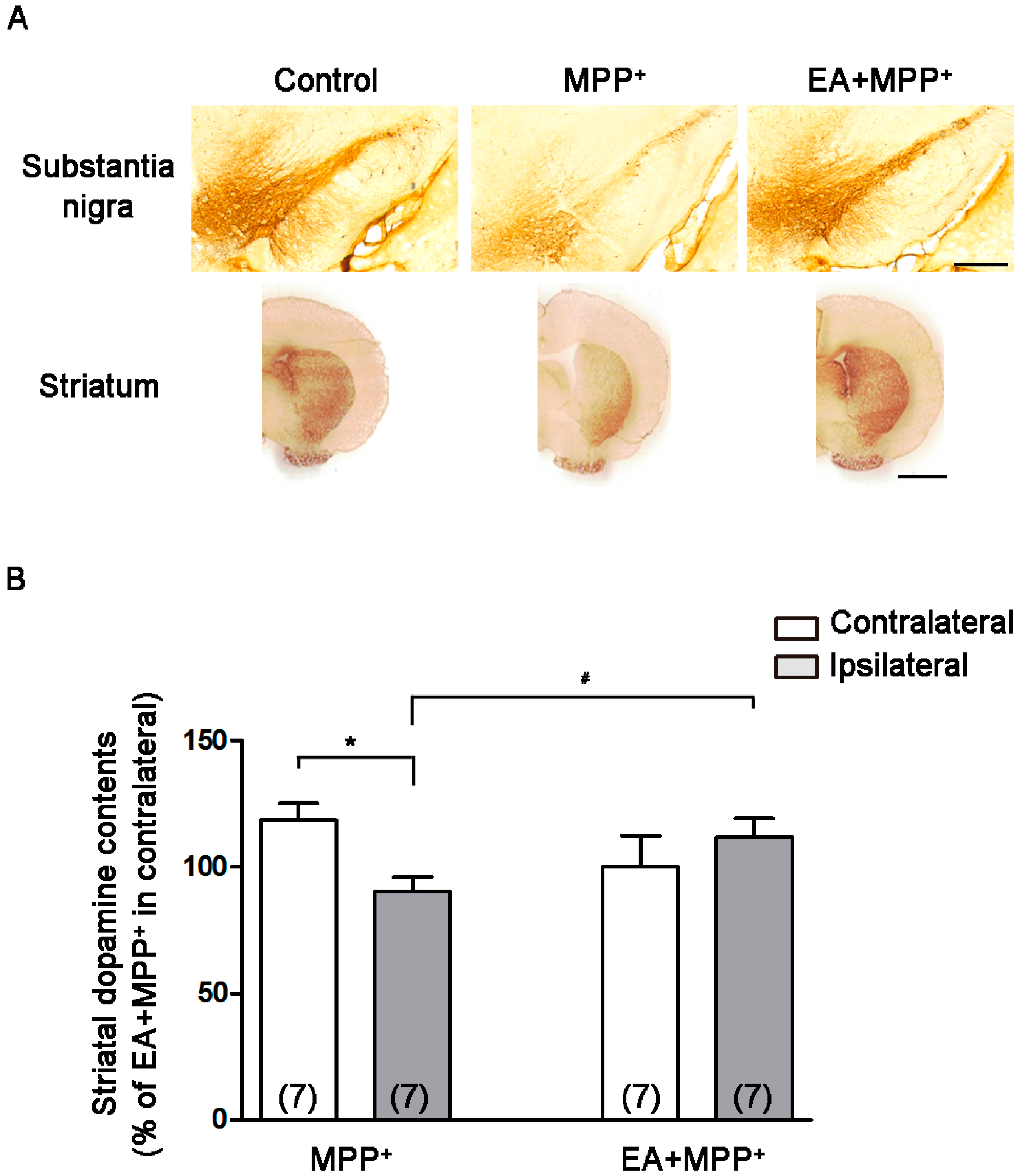 Ijms 18 01846 g003 550