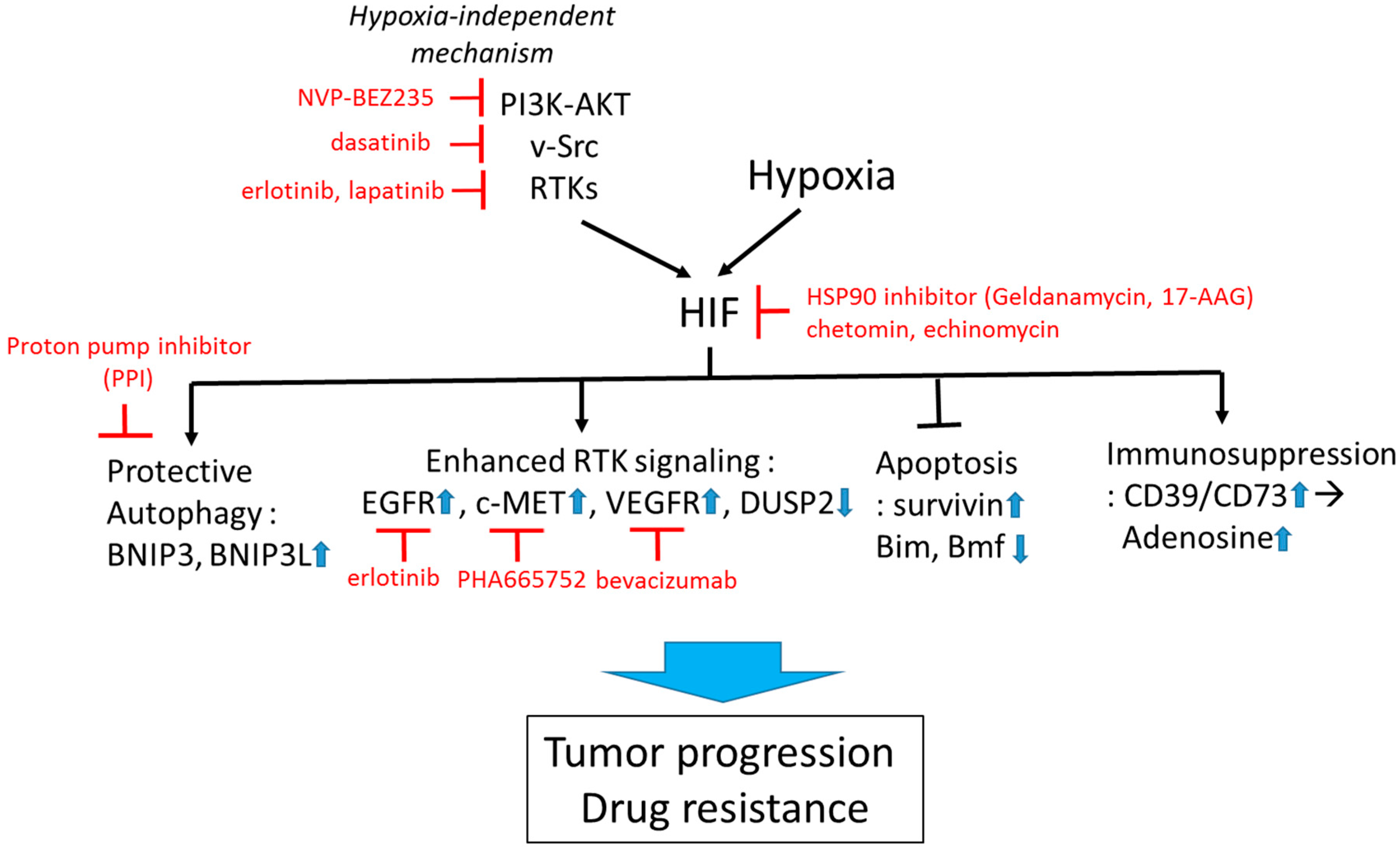 Ijms 18 01854 g002 550