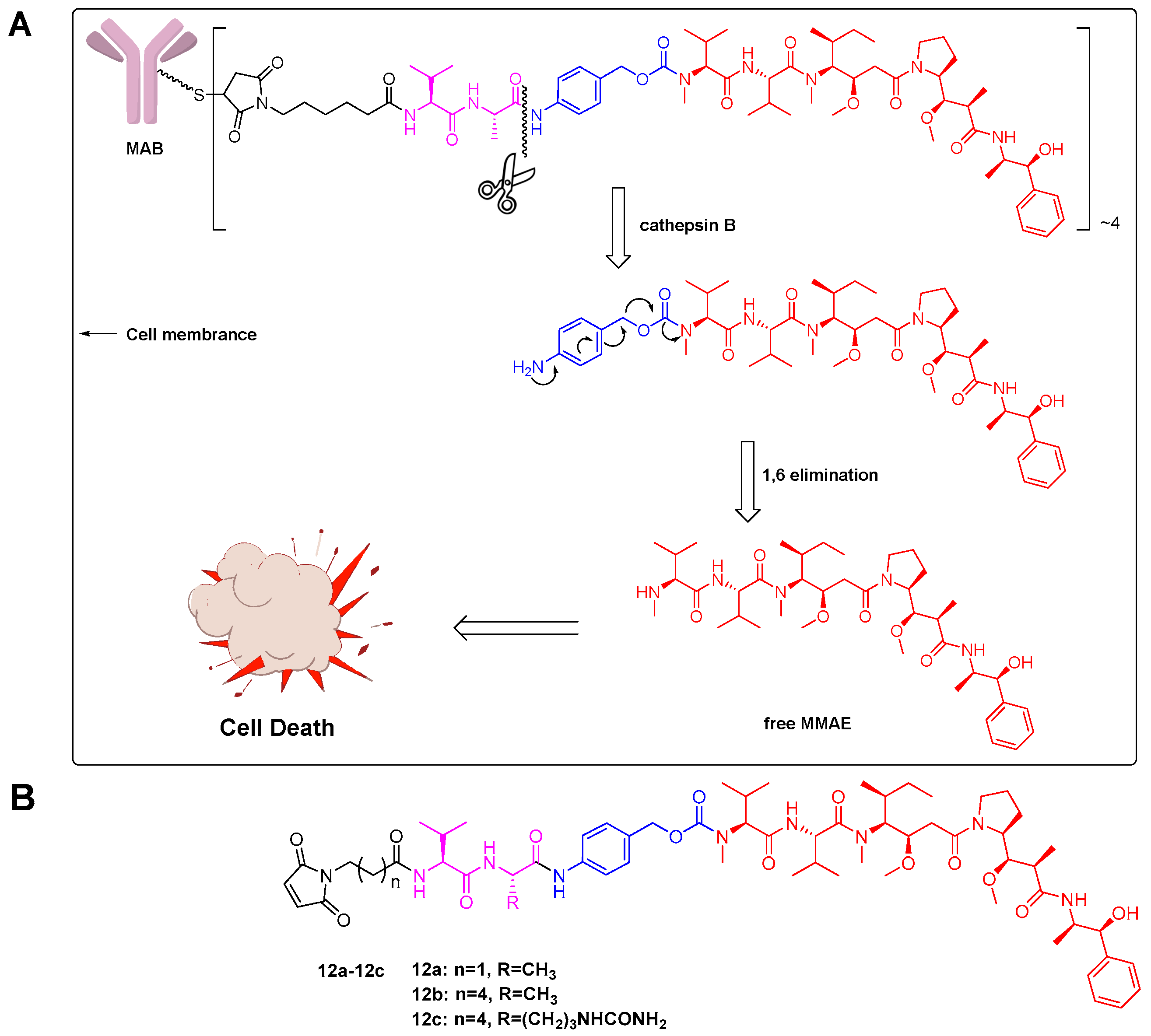 Ijms 18 01860 g002 Ijms 18 01860 g002