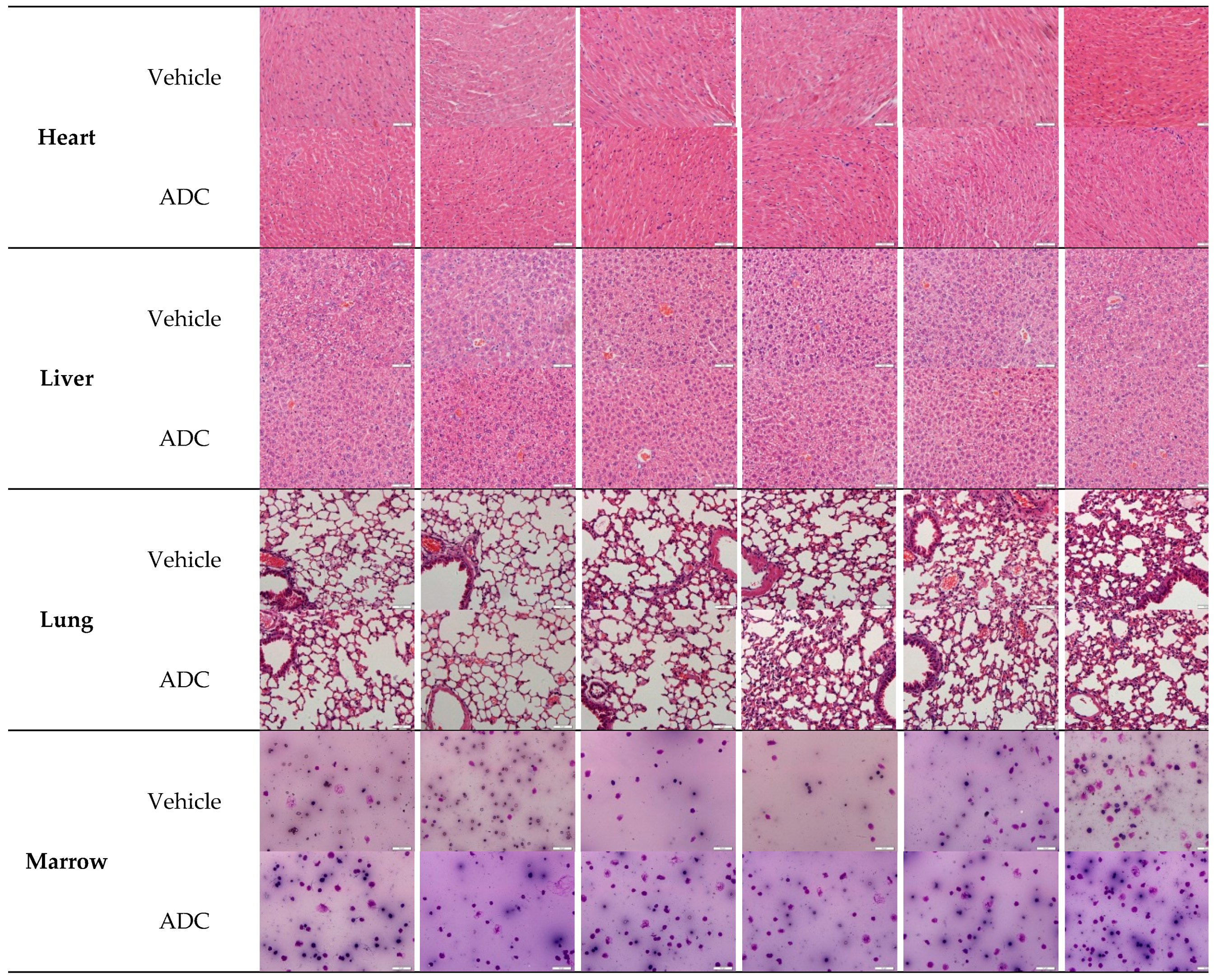 Ijms 18 01860 g009 Ijms 18 01860 g009