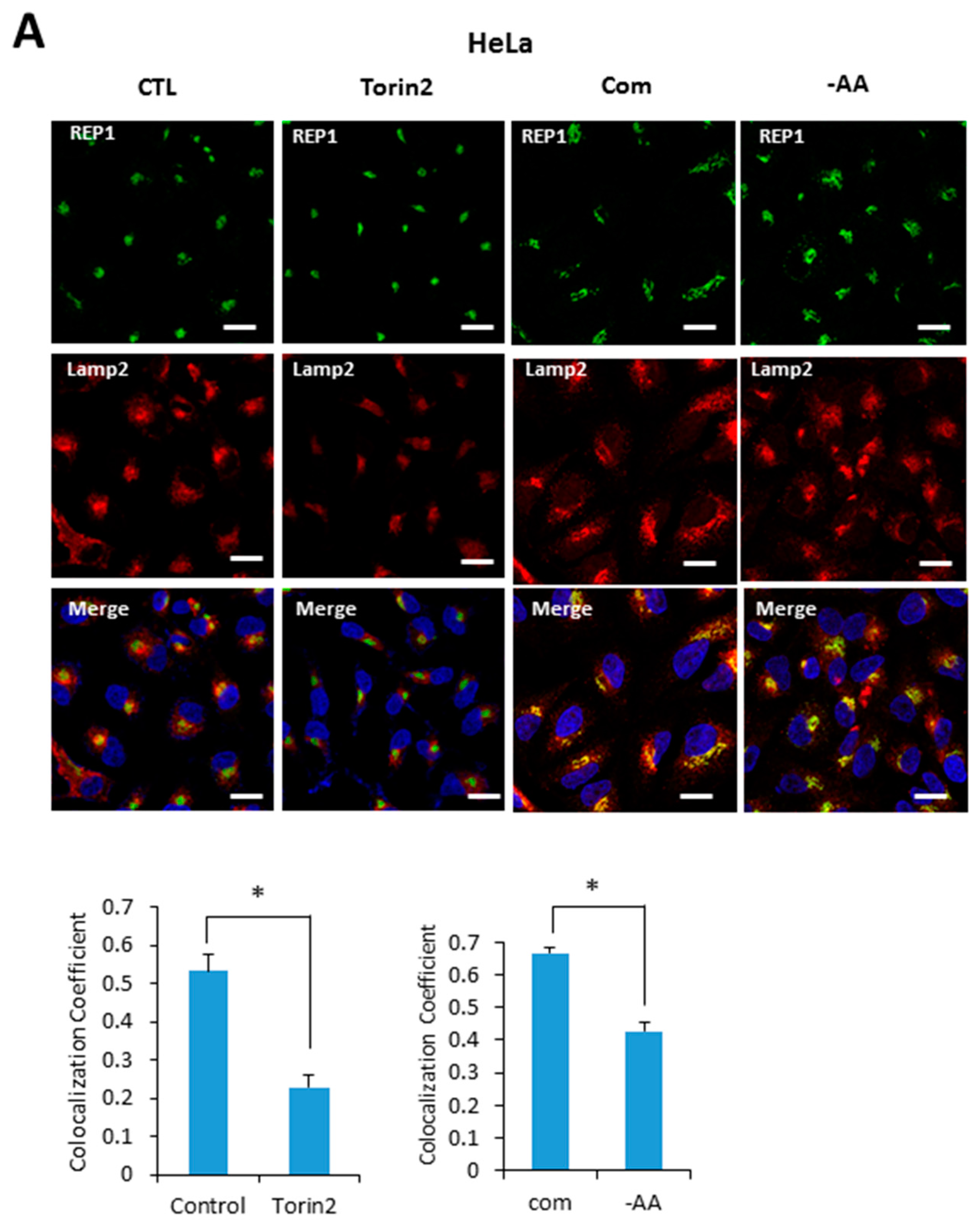 Ijms 18 01866 g005a 550