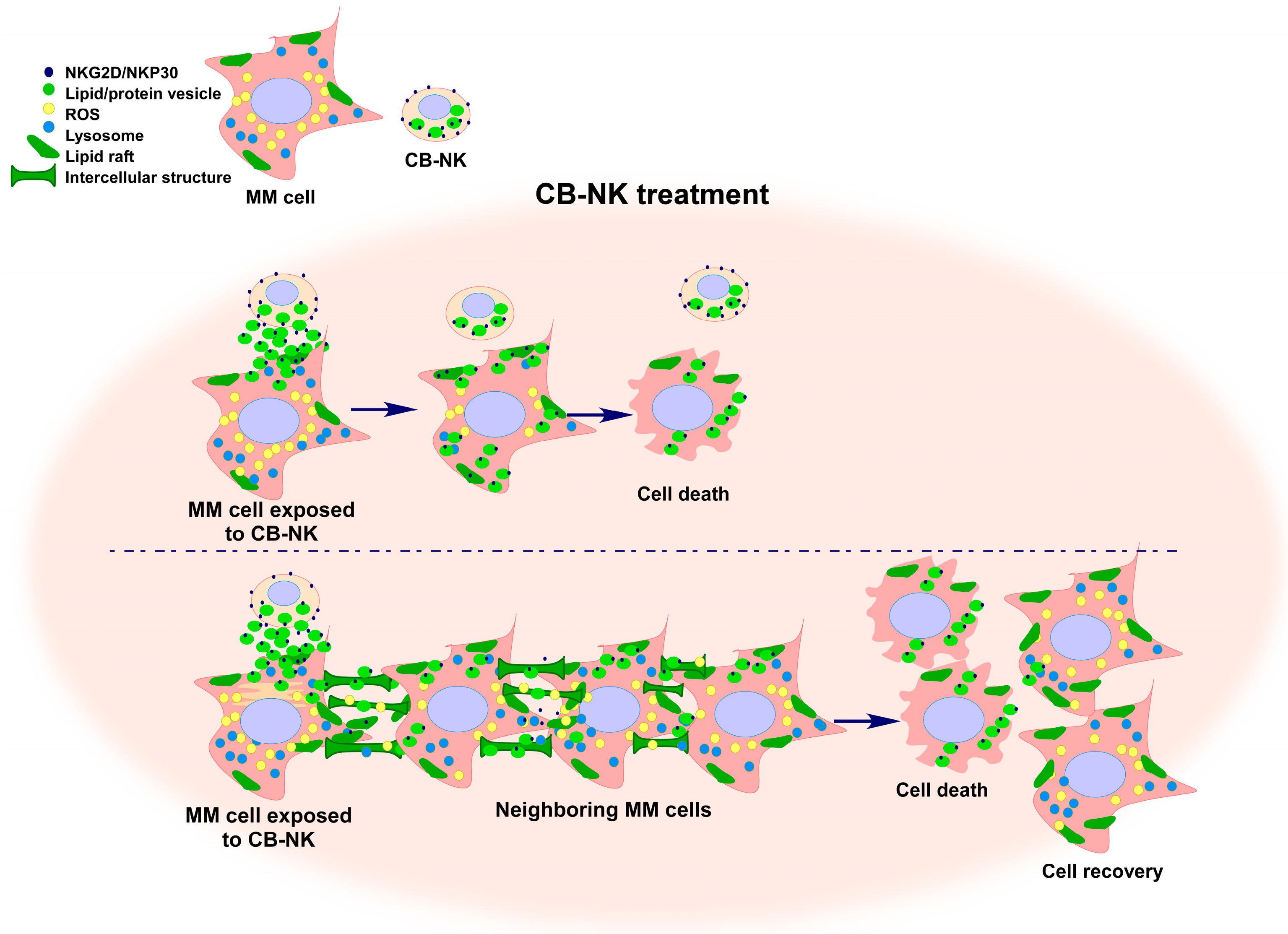 Ijms 18 01868 g002 550