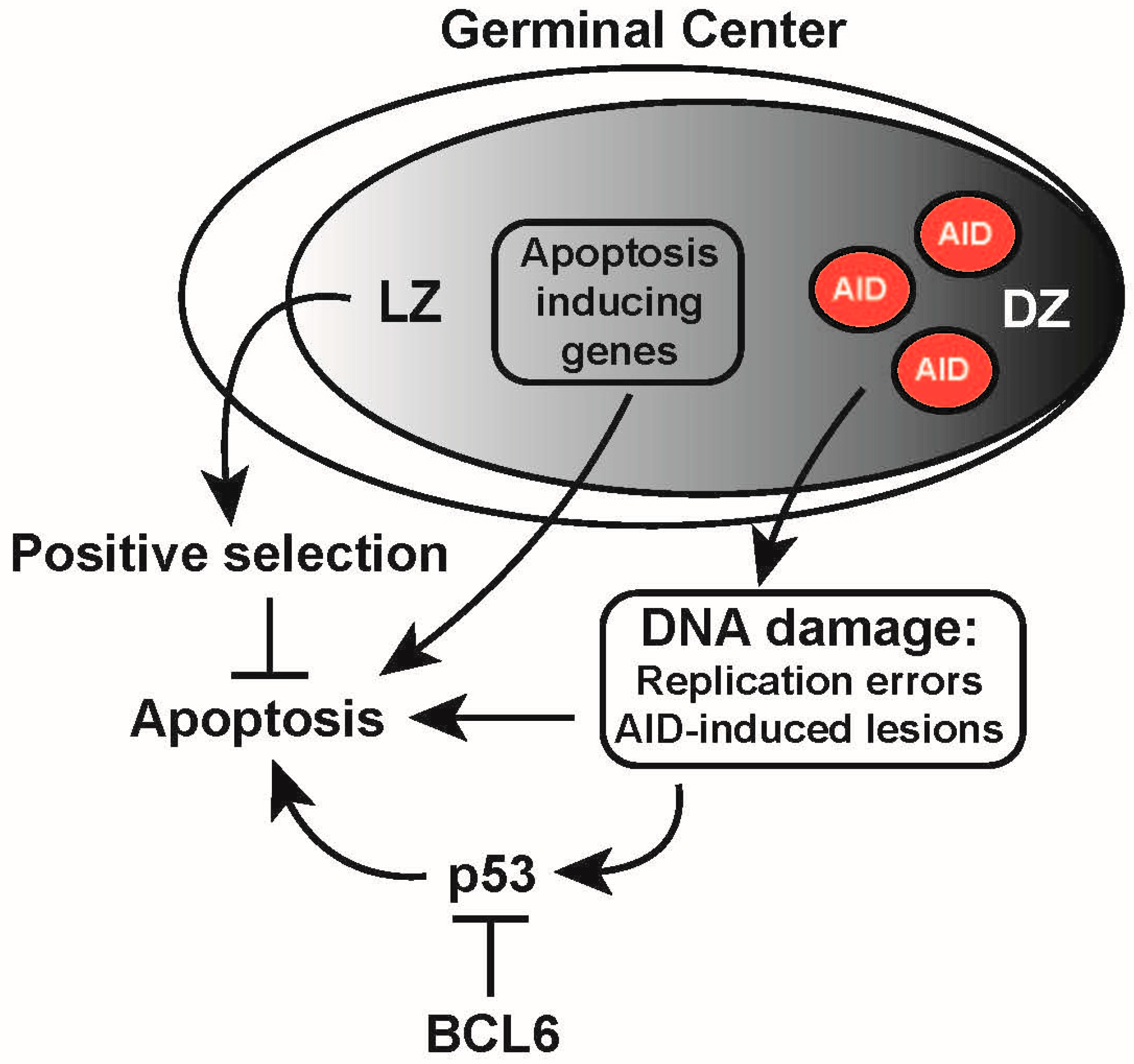 Ijms 18 01876 g008 Ijms 18 01876 g008