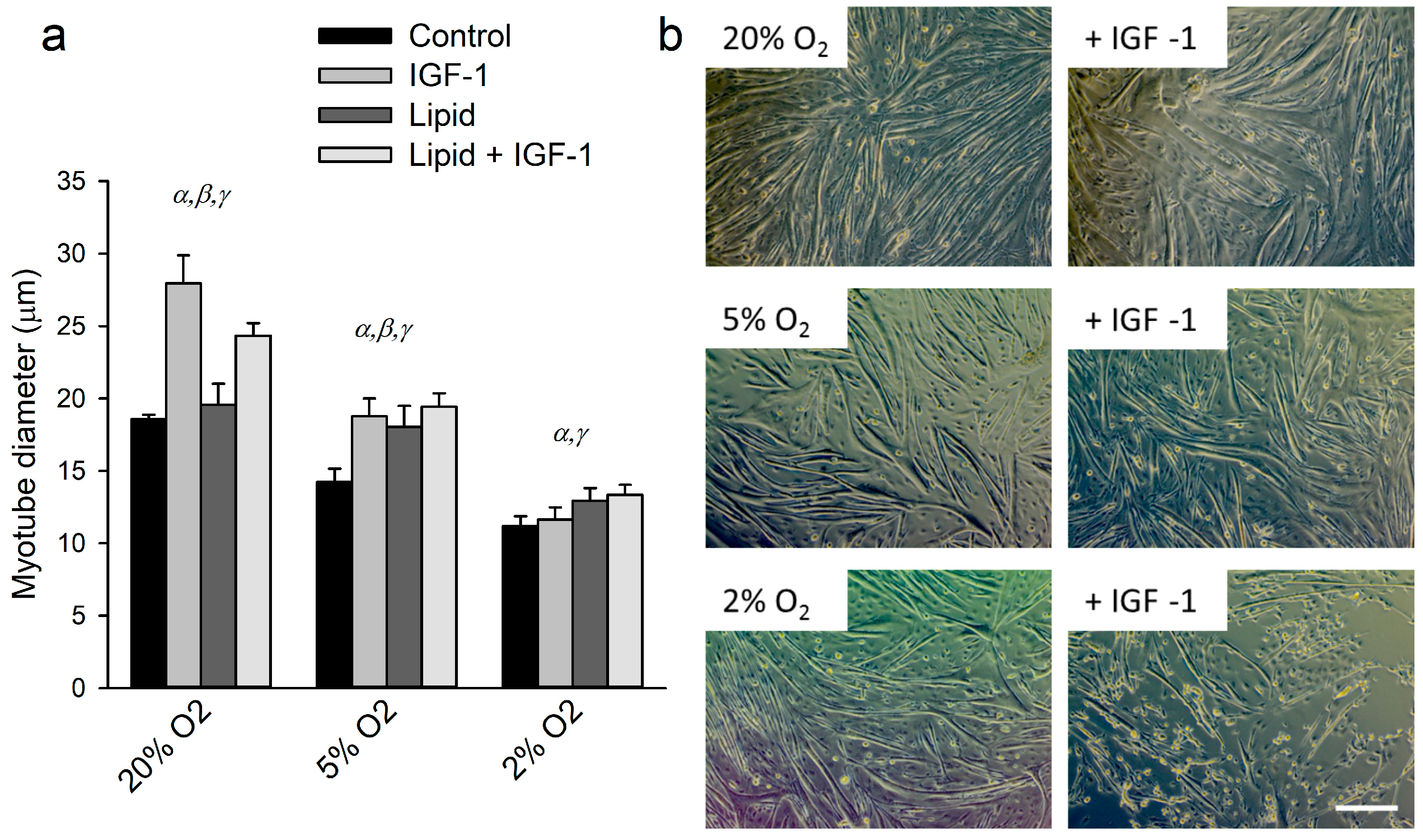 Ijms 18 01889 g001 Ijms 18 01889 g001