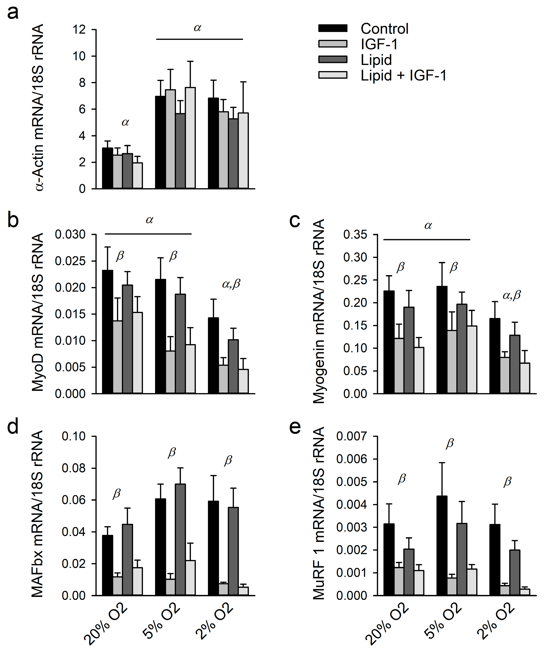 Ijms 18 01889 g002 Ijms 18 01889 g002