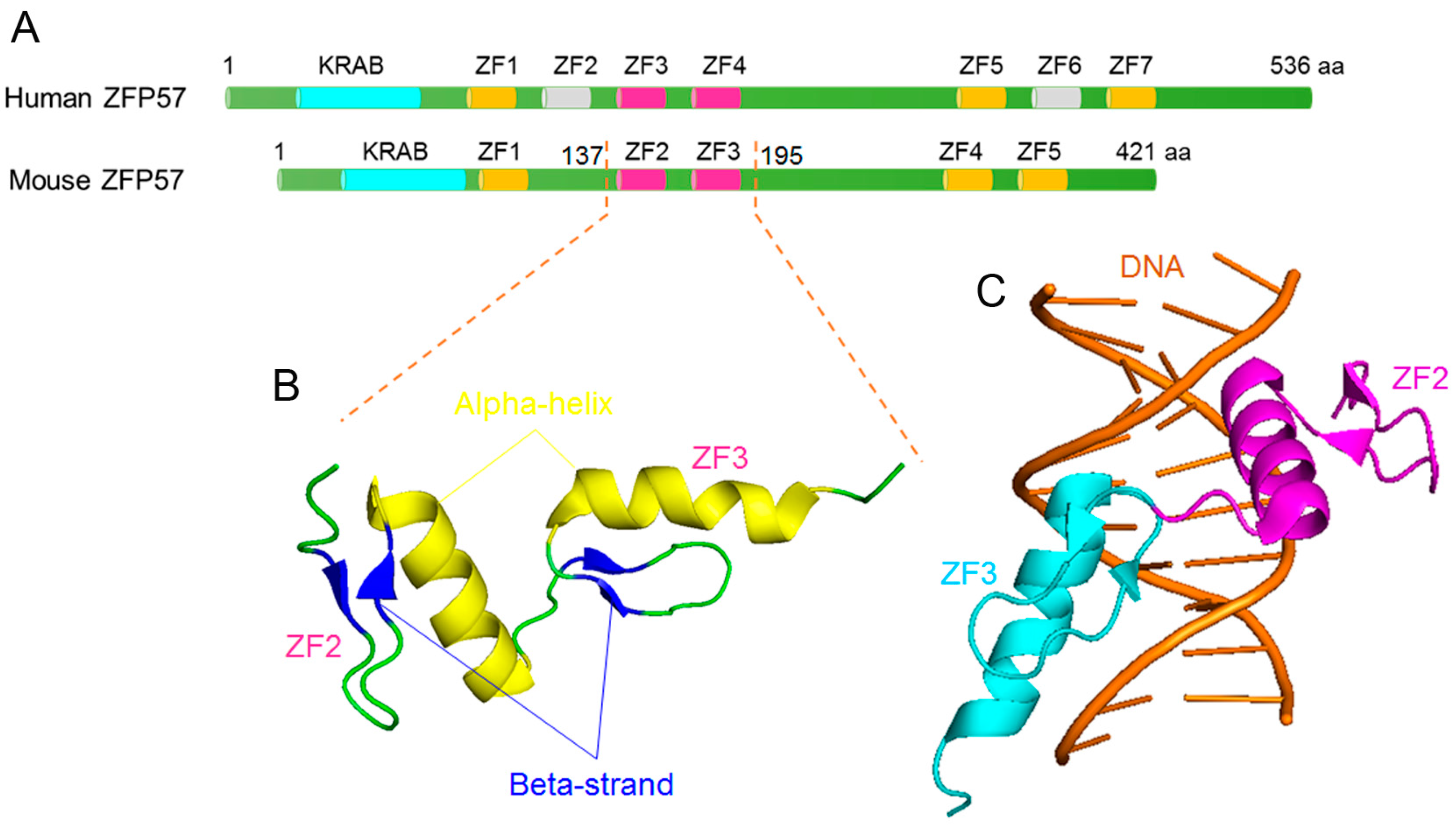 Ijms 18 01898 g005 Ijms 18 01898 g005